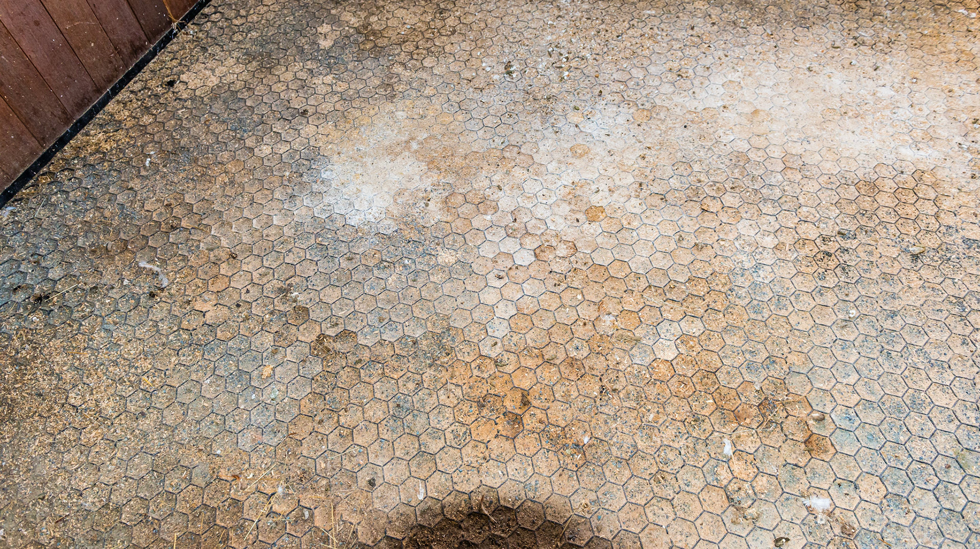 Honeycomb flooring is laid flat on top of a stone dust base and filled with stone dust. This owner hates this flooring because the stone dust is replaced with bedding that can't be removed without picking out each hole. This leaves uring soaked bedding. Her solution is to cover the honeycomb with rubber mats.