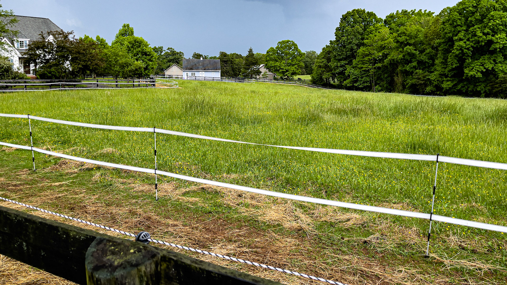 Track feeding system.