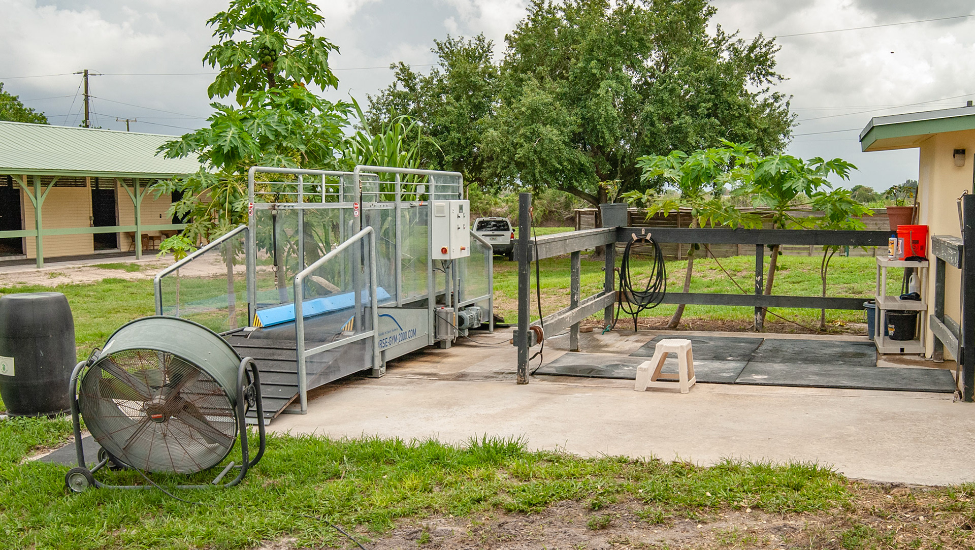 Outdoor treadmill next to a wash / grooming area