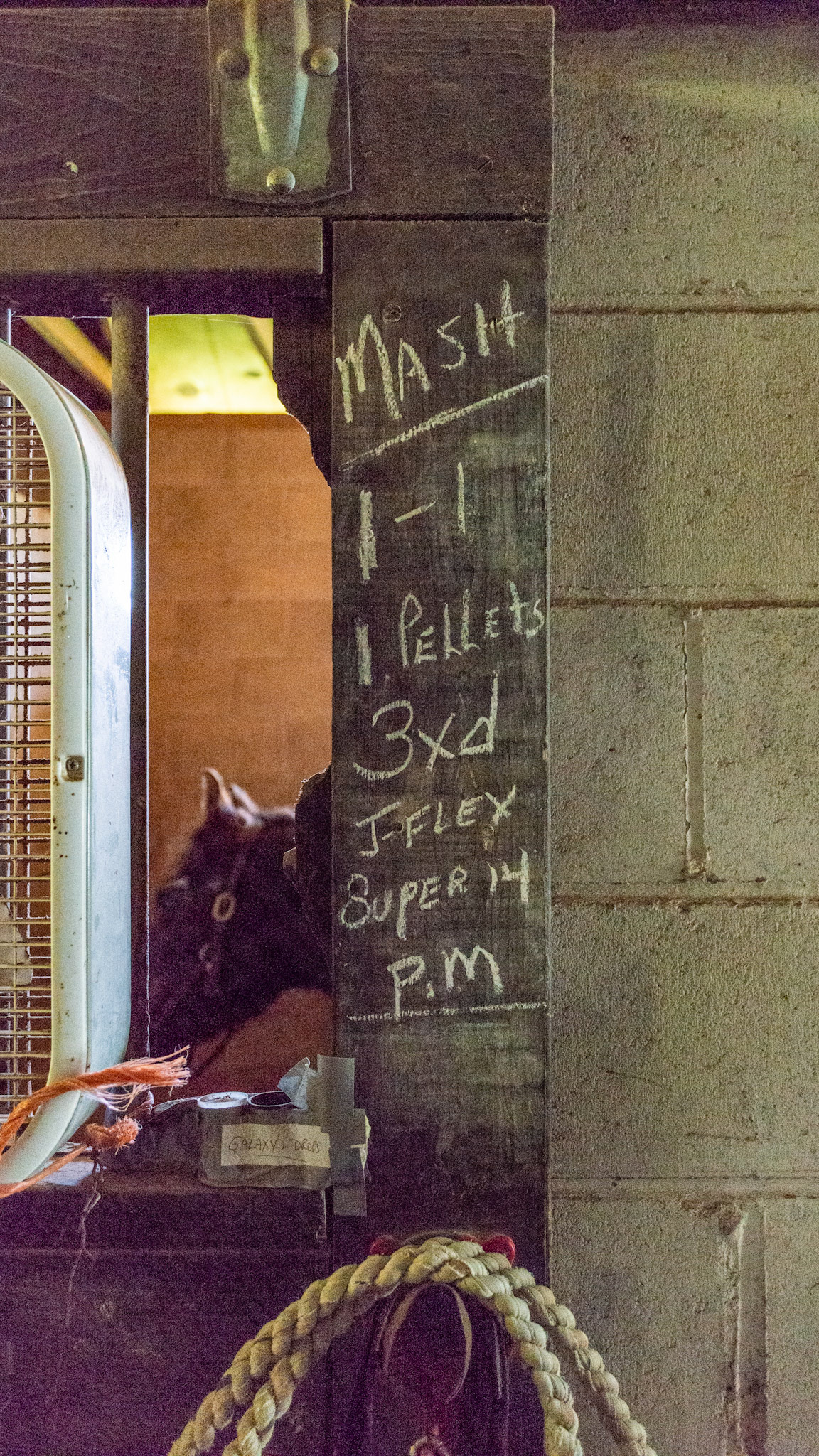 Feed chart - BCS of 7 after winter with half of the teeth worn to the gum and quidding hay and some grass.