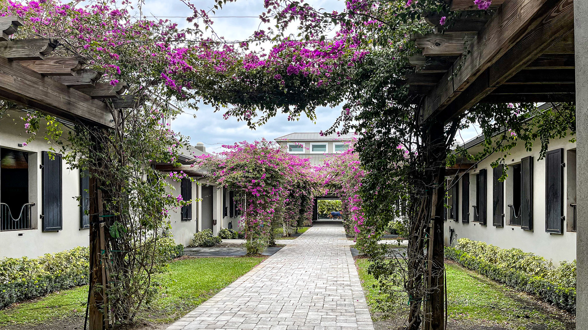 Beautiful climbing plants adorn these outdoor pergolas between barns.