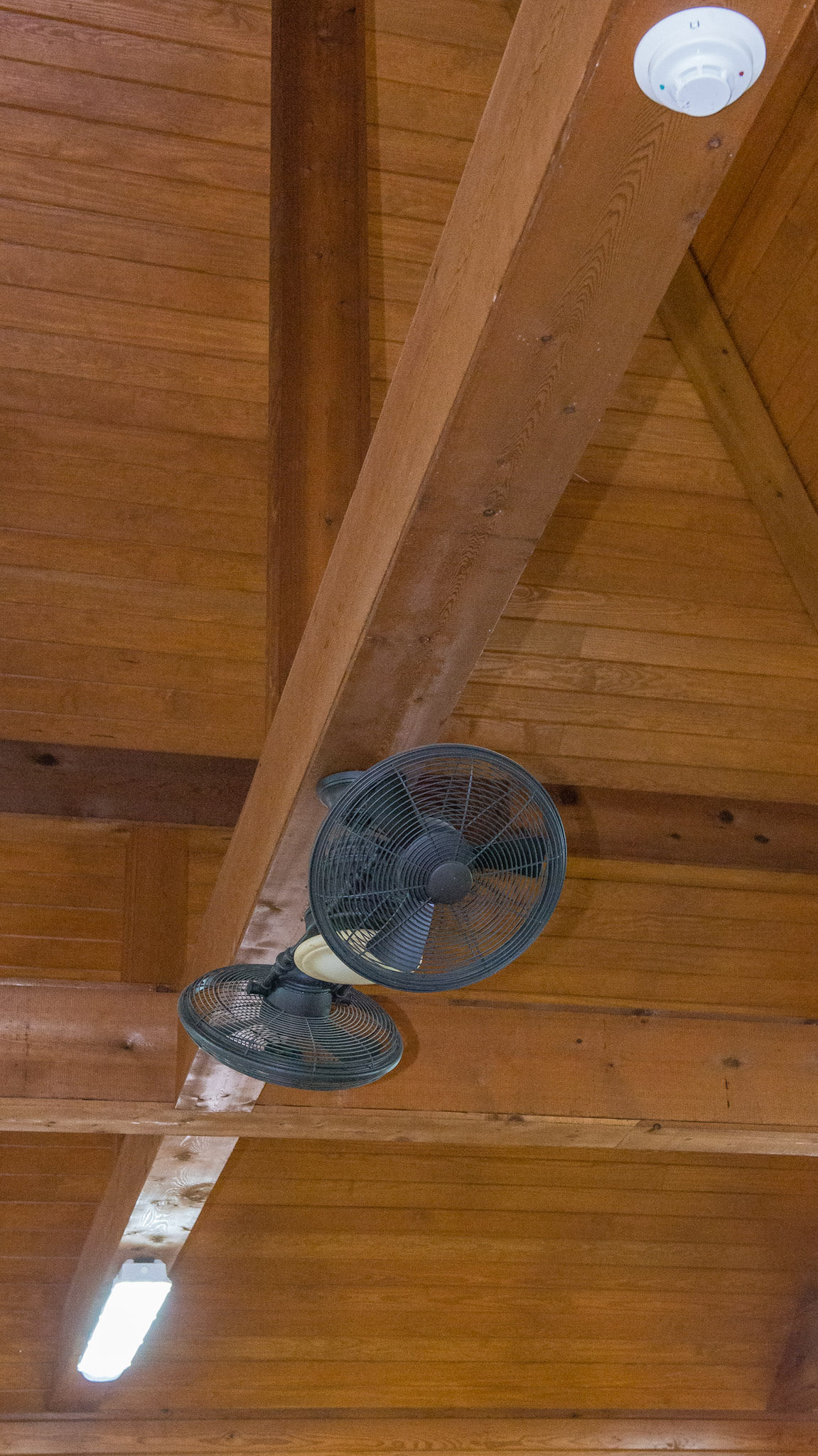 Rotating twin oscillating fans and a fire detector.