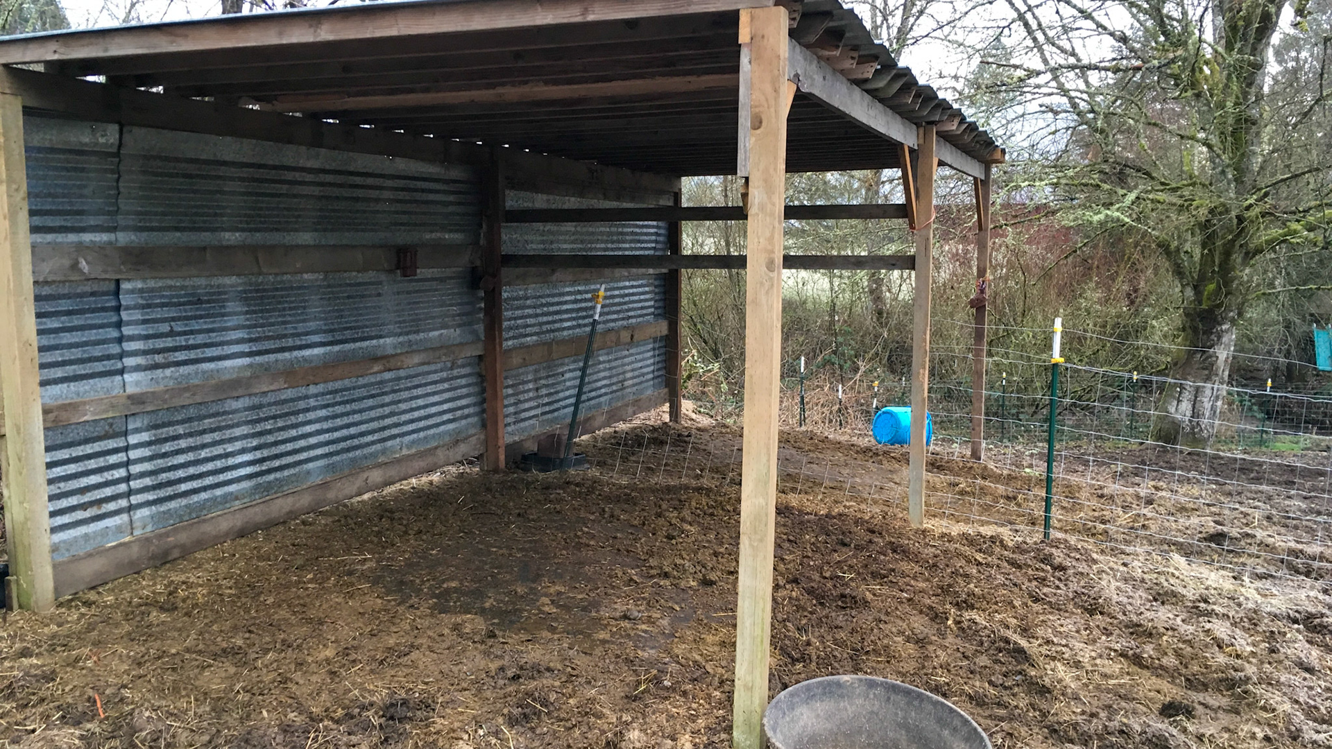 A small shed is at the top of the hill of this paddock that is all mud.  The wire fencing and exposed metal posts with adjacent horses are dangerous.