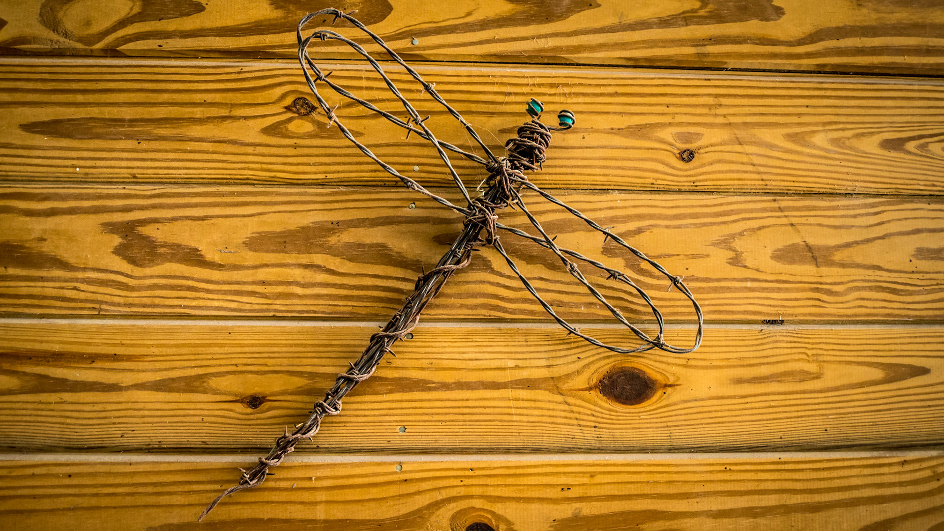 A good use for barbed wire.