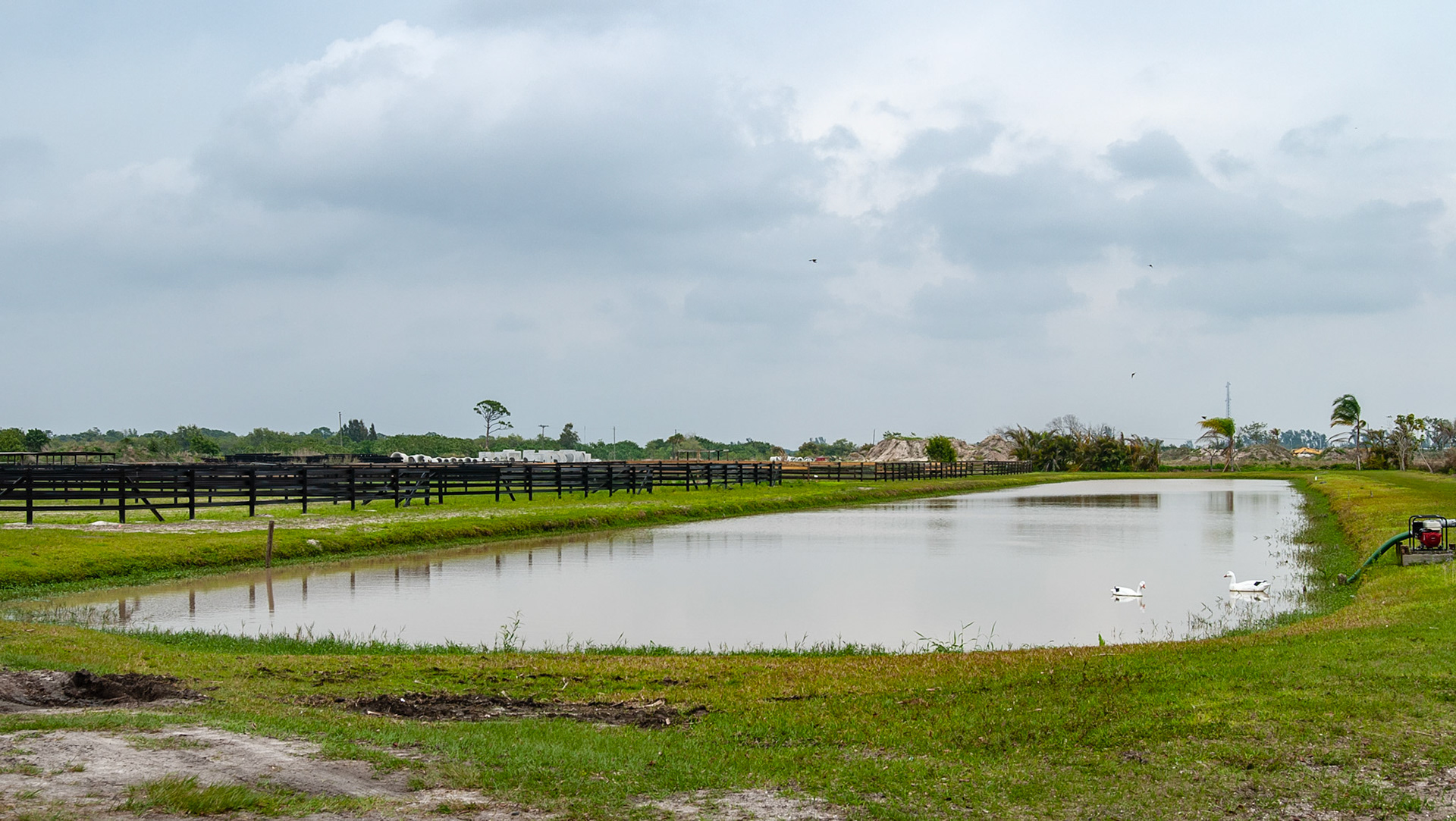 This is a swimming pond to leg up horses in Florida.  I can't help but to think of poisonous snakes and alligators.