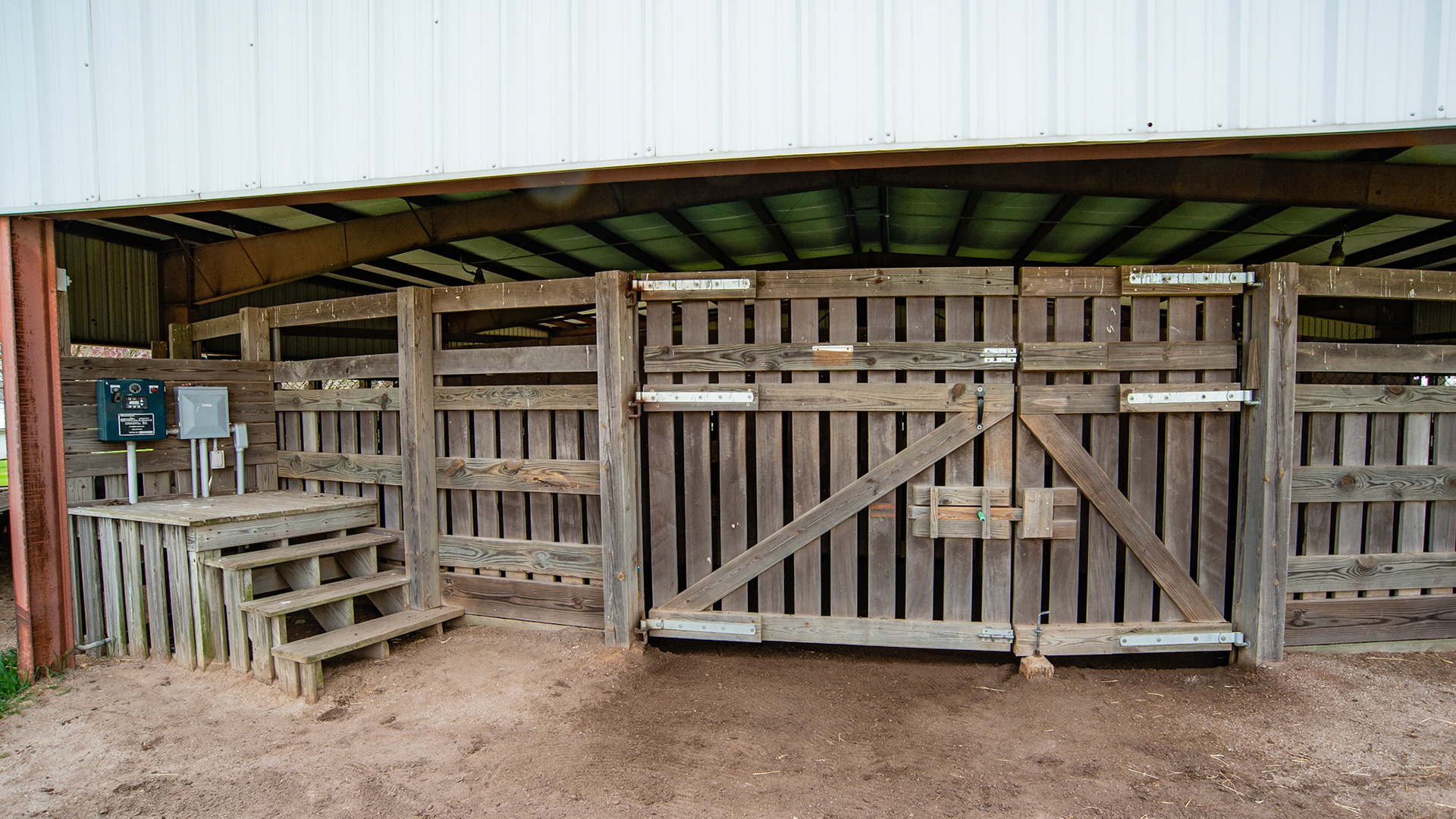 Gate entrance to round pen walker