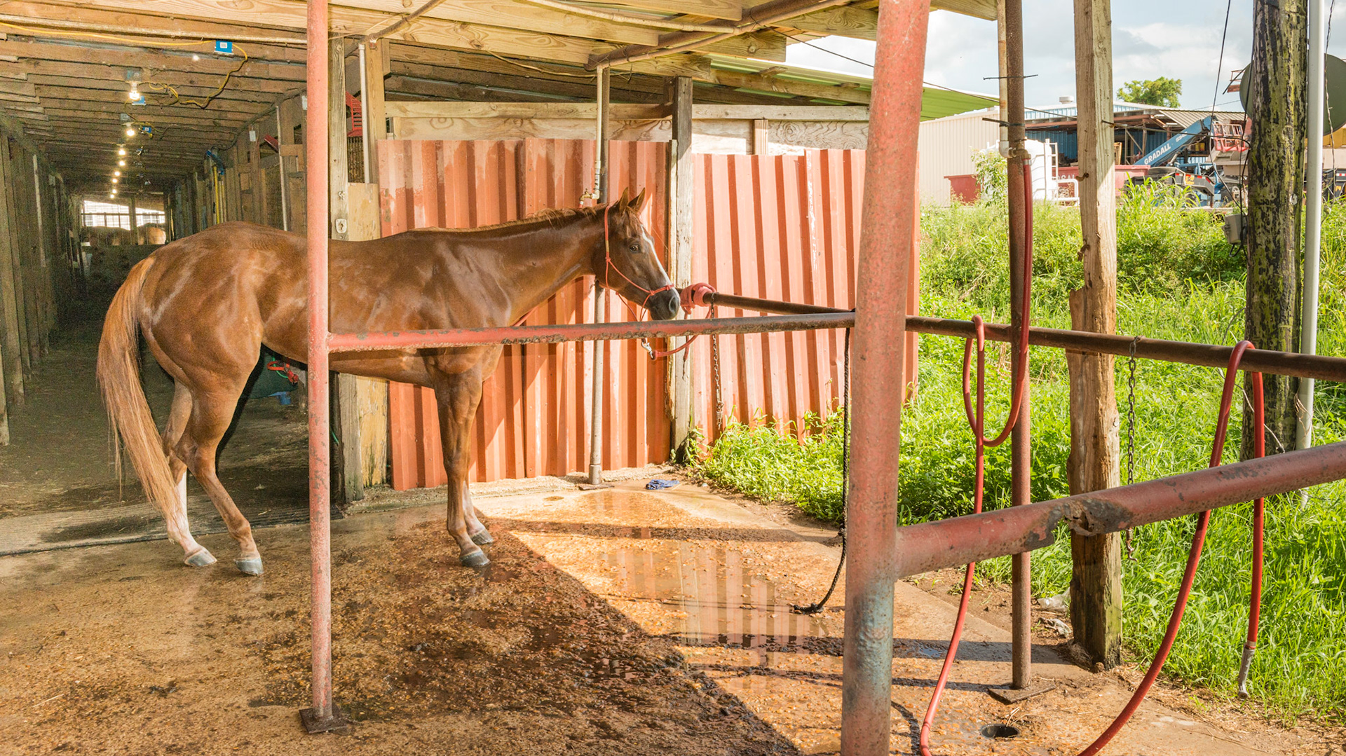 Wash rack made of steel pipe loosly attached to the structure.  The horse is firmly attached to this somewhat moveable structure and left unattended.  A break away attachment would be safer.