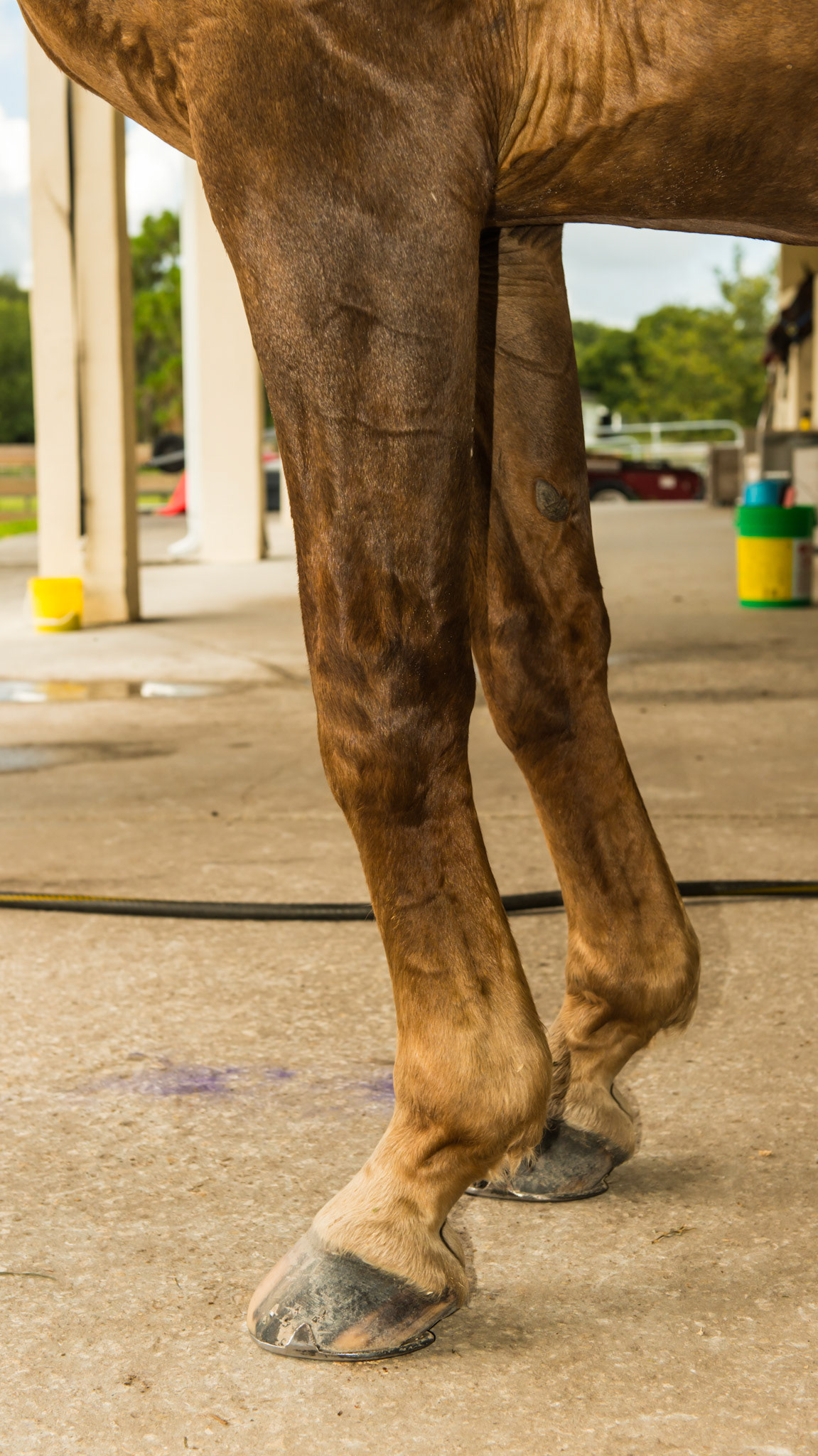 Over at the knees in a 20+ year old