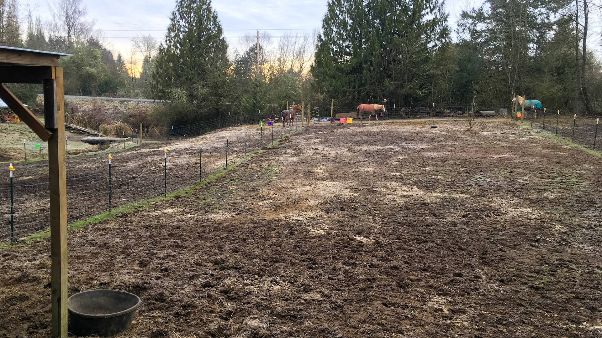 A small shed is at the top of the hill of this paddock that is all mud.  The wire fencing and exposed metal posts with adjacent horses are dangerous.