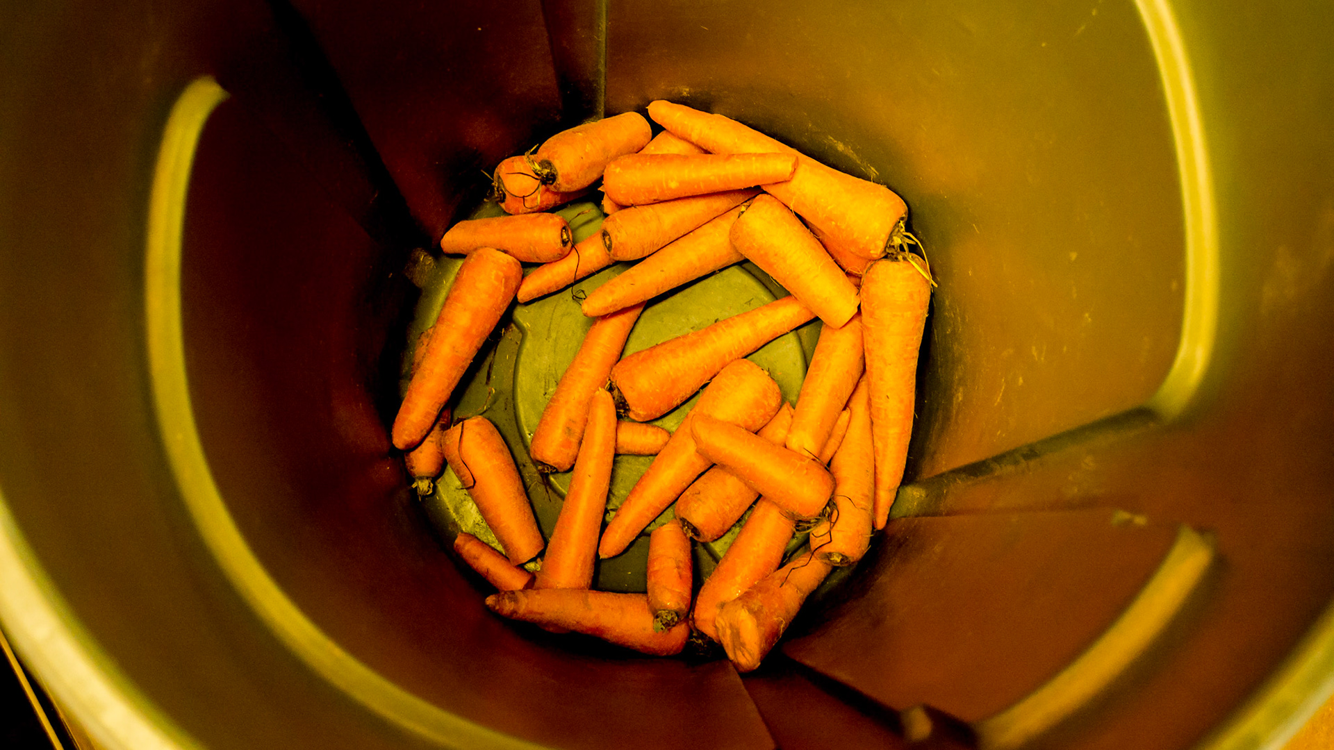 Carrots in bulk container