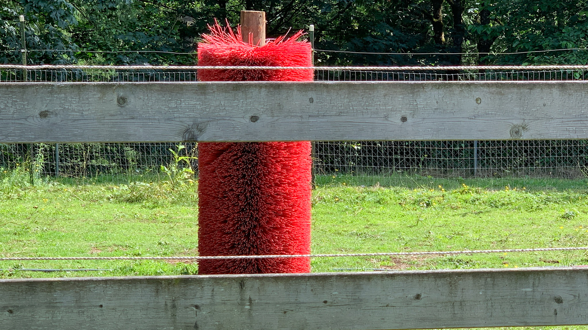 An old street sweeping brush is placed vertically and is used as a scratching post for horses in this field.