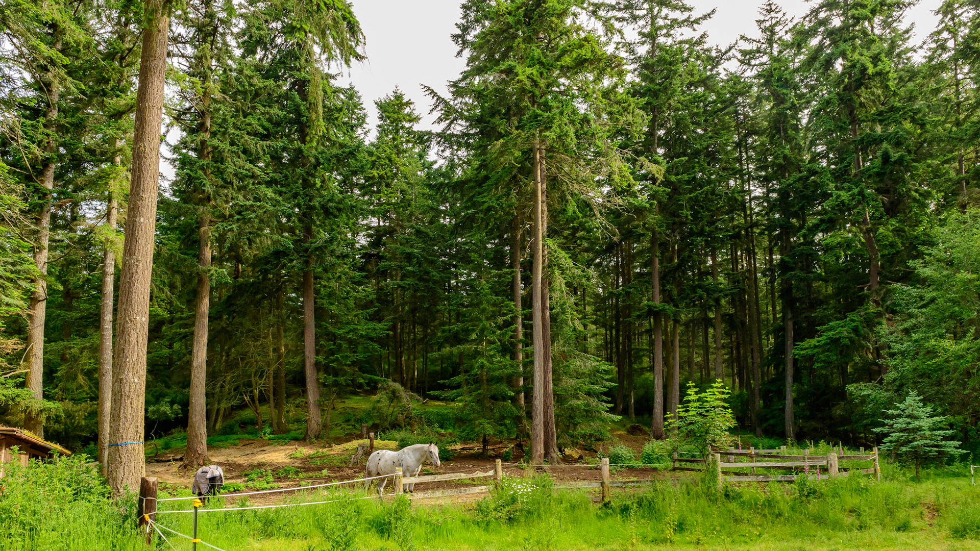 Farm I visited on Orcas Island