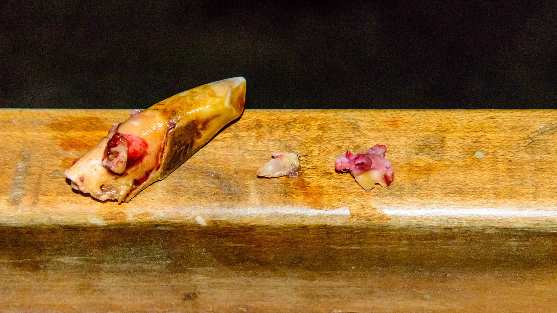 EOTRH horse 20 - extraction of the decayed incisor 303.