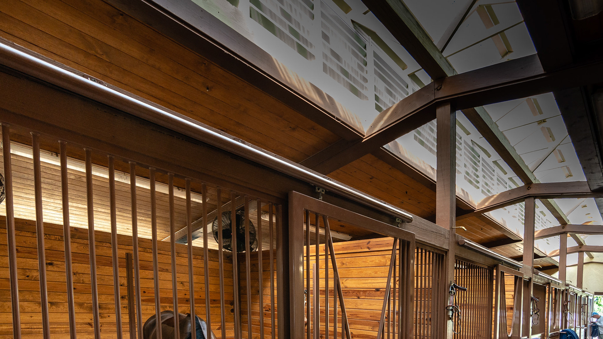 This skylight runs the length of the stalls giving horses exposure to the natural circadian rhythm of light.