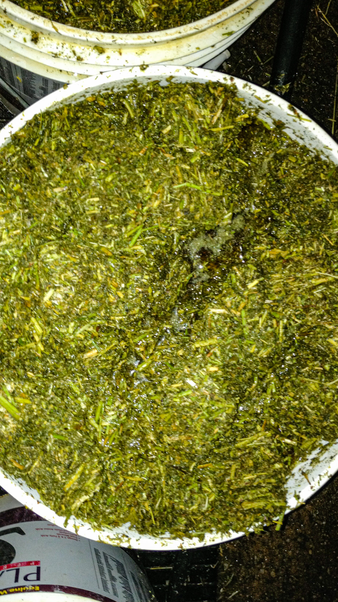 A bucket with holes in the bottom allows for soaking hay cubes. By bthe time the water drains out the cubes are perfectly moistened.