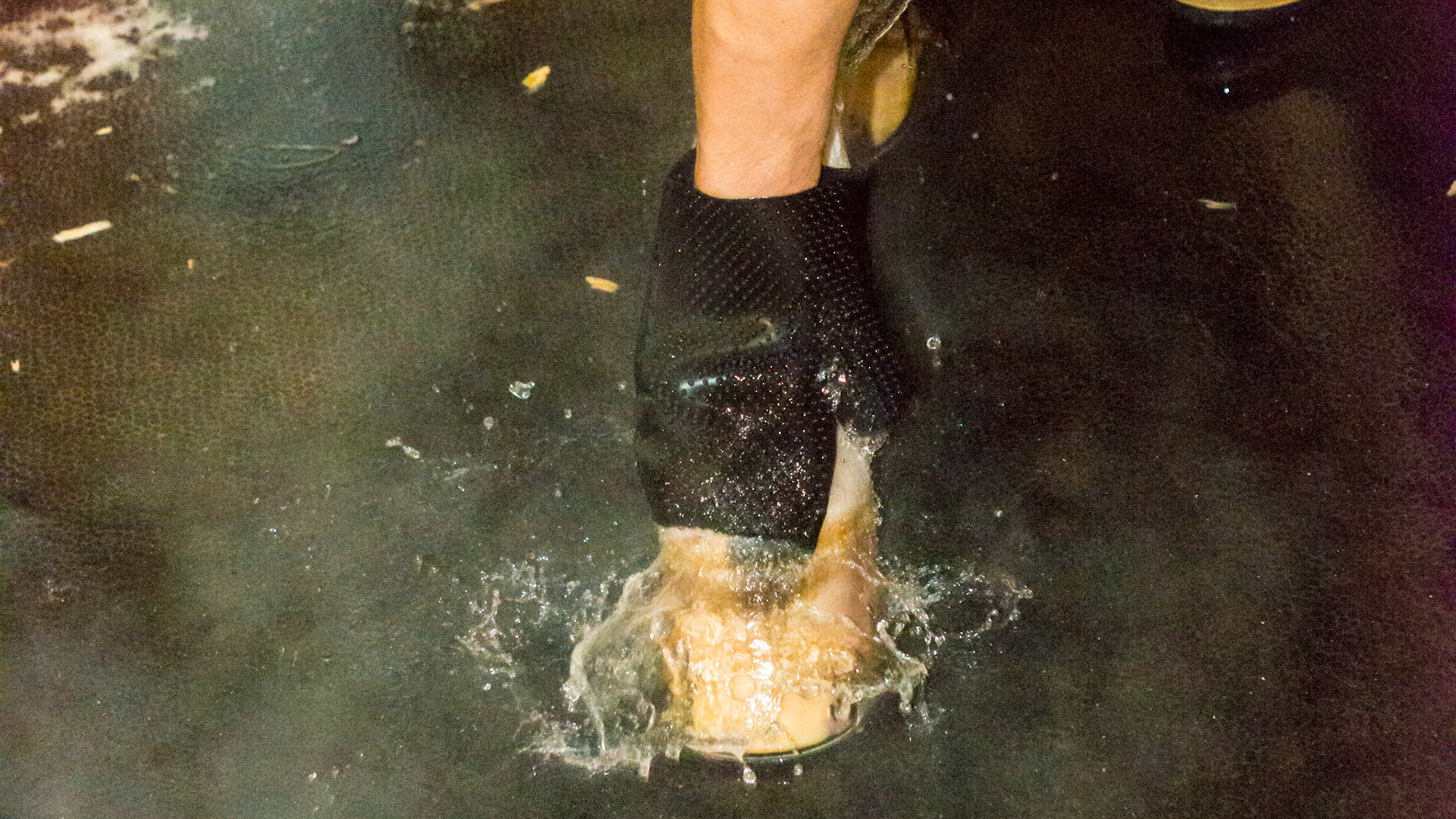 This horse is having his legs scrubbed with soap and a rubber nub mitt.
