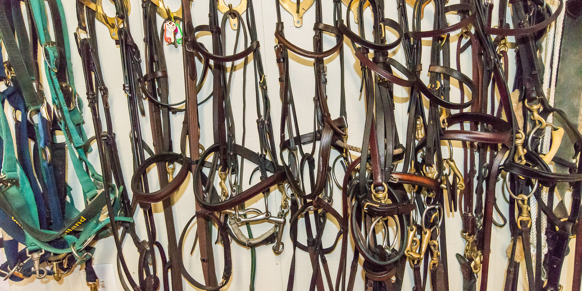 Bridles and bits