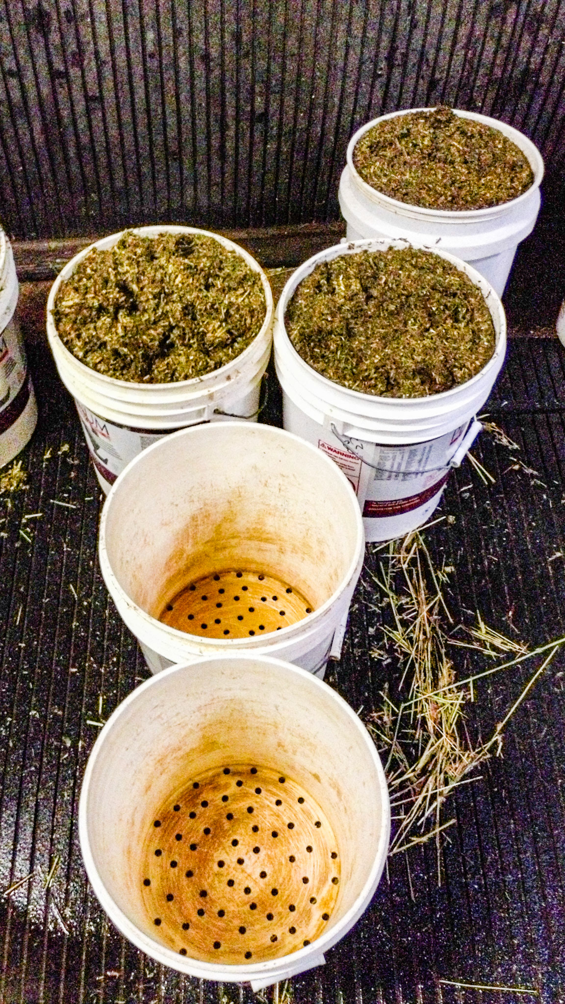 A bucket with holes in the bottom allows for soaking hay cubes. By bthe time the water drains out the cubes are perfectly moistened.