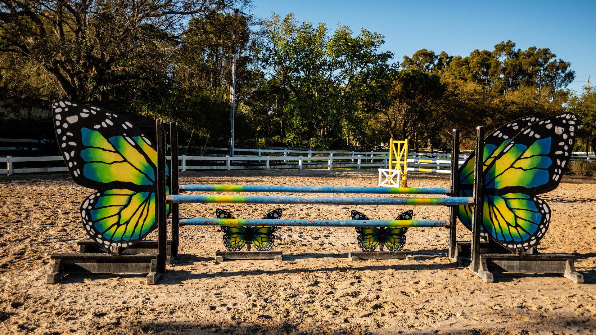 South Florida arena and hand made jumps.