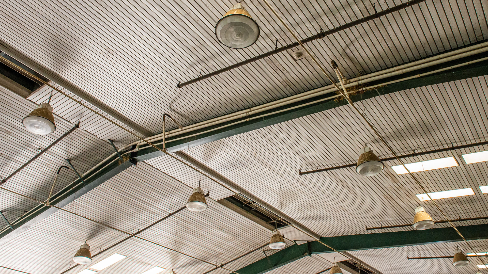 Insulated arena roof, fire sprinkler system, fire detection monitors, arena irrigation system, mercury vapor lights, skylights.