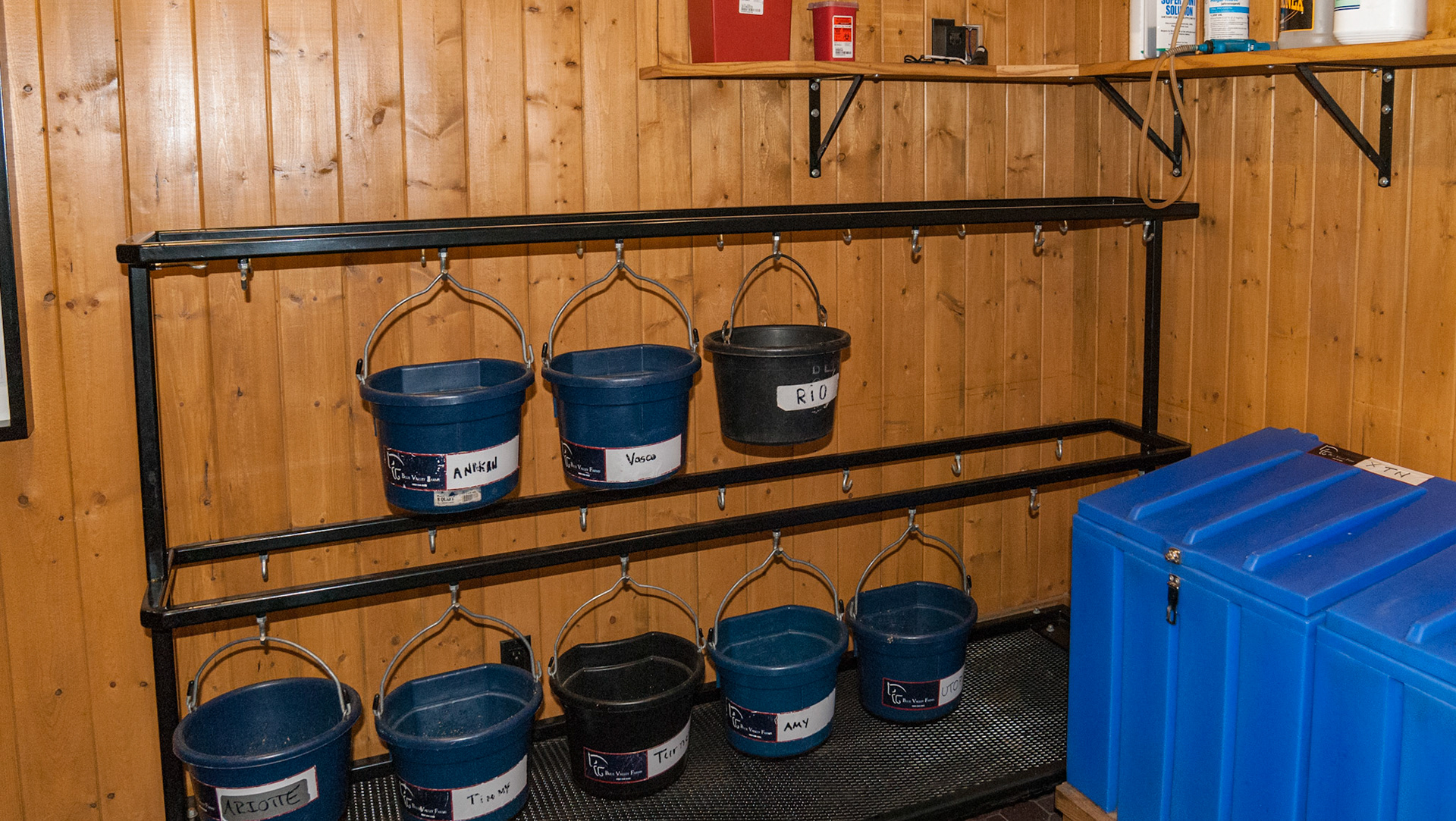 Feed buckets hung on a moveable cart keeps them organized and it moves out of the feed room and into the barn effortlessly.