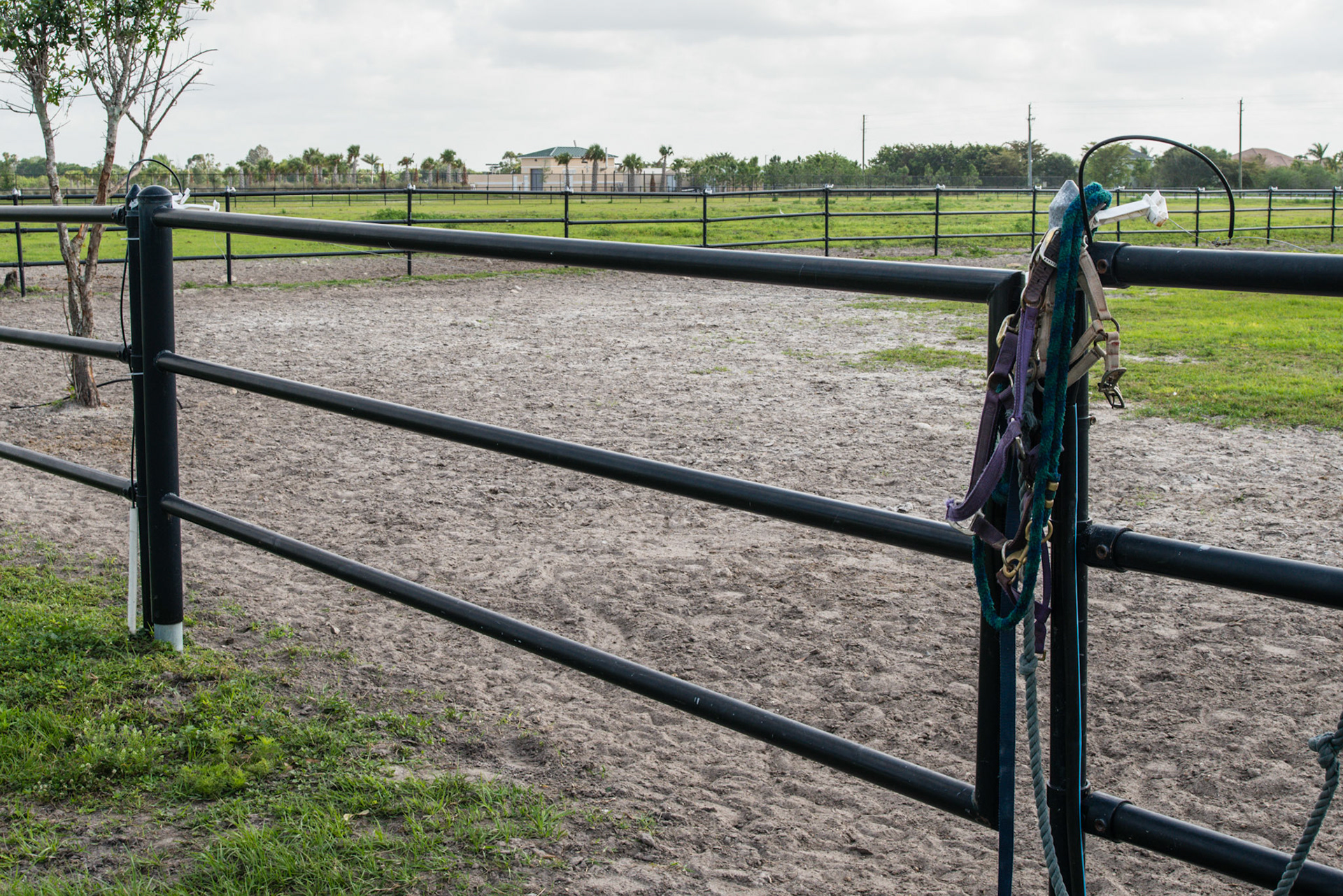 Pipe fencing is used on this FL farm - very unusual for this area. - the halters are sloppy hung this way.  The electric wire runs through an insulating tube under ground under the gate.
