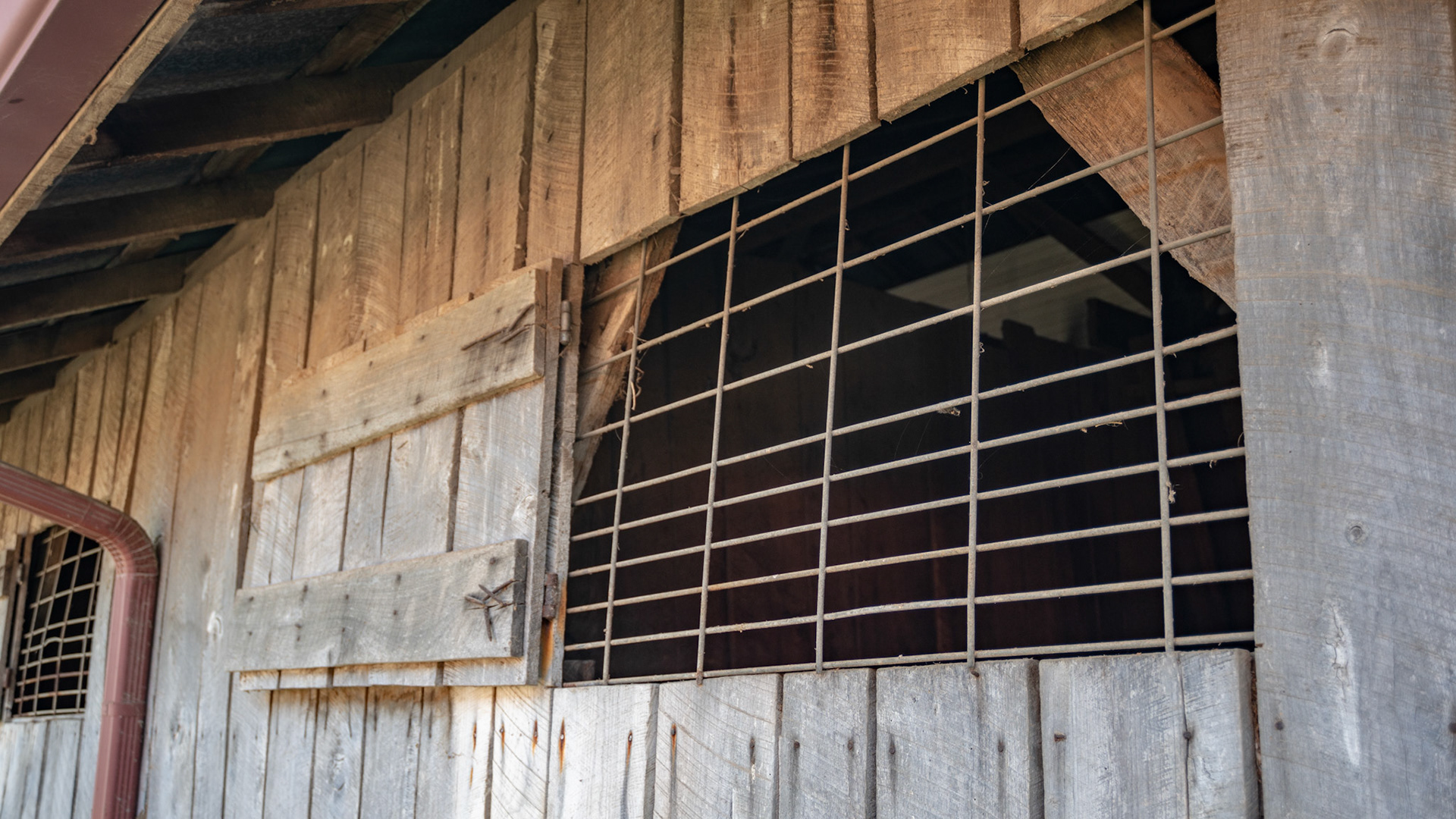 This window door was cut from the barn side for a perfect fit.  Hog paneling was used to keep the head inside.