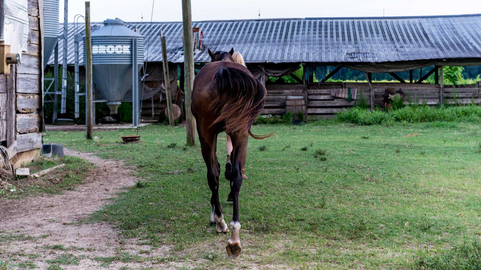 This series of 3 pics - a rescued TB that has gained weight and loves his grain is being led by this young girl with a bucket of grain. He understands and probably won't knock her down - maybe - but add just 1 horse and this is an accident where she becomes an innocent victim of 2 horses fighting for grain.