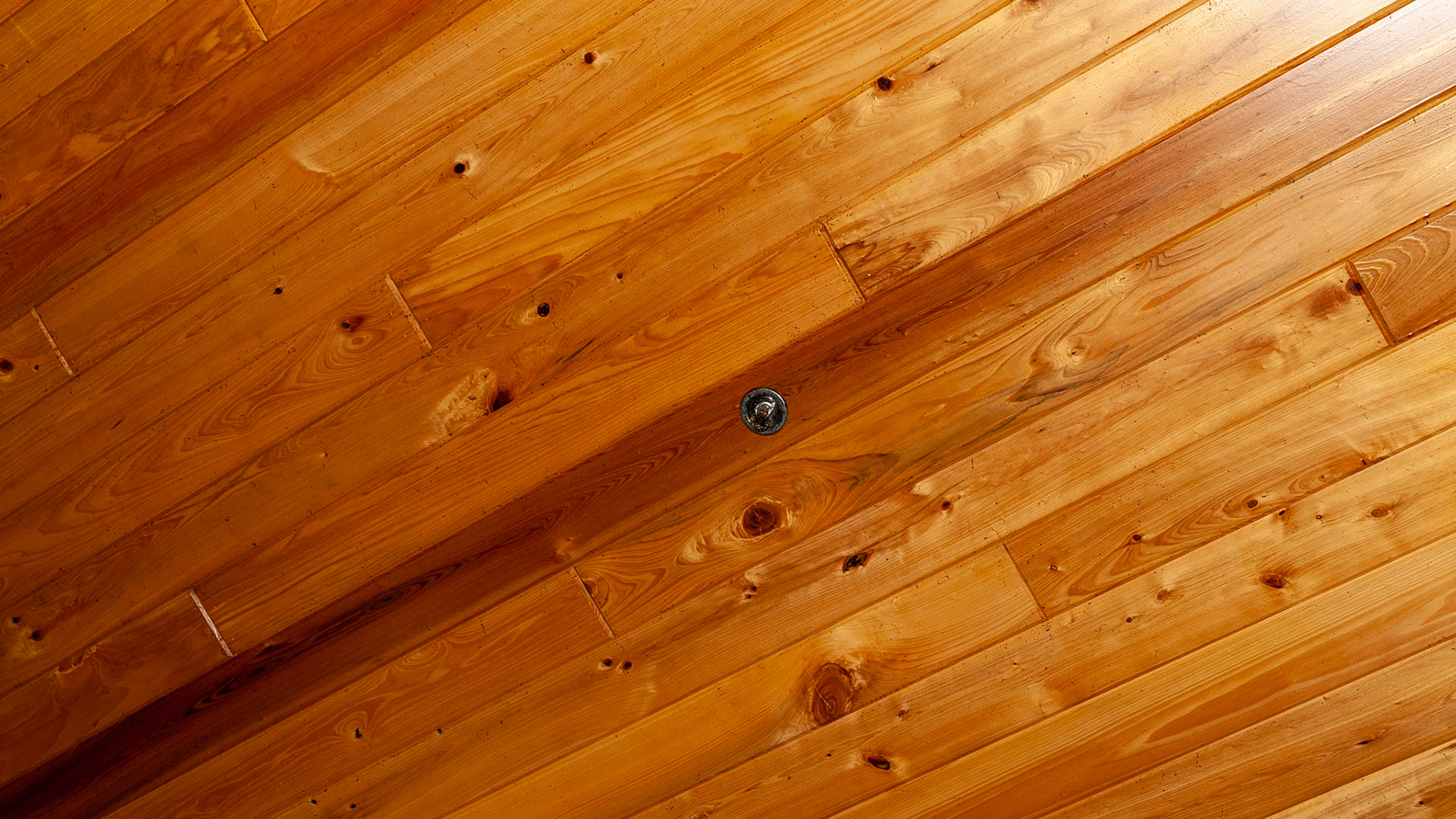 Sprinkler systems inside a barn. Only the head is seen above the stall