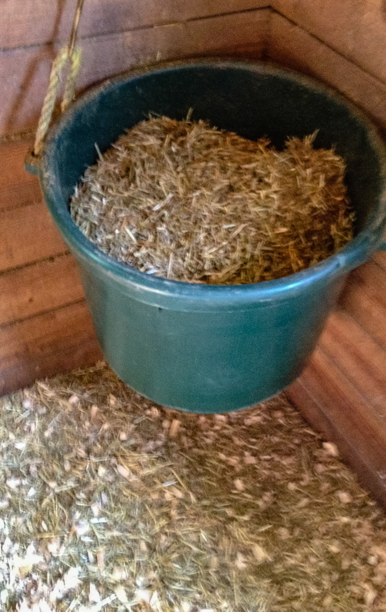 Muck bucket hung for chopped hay container