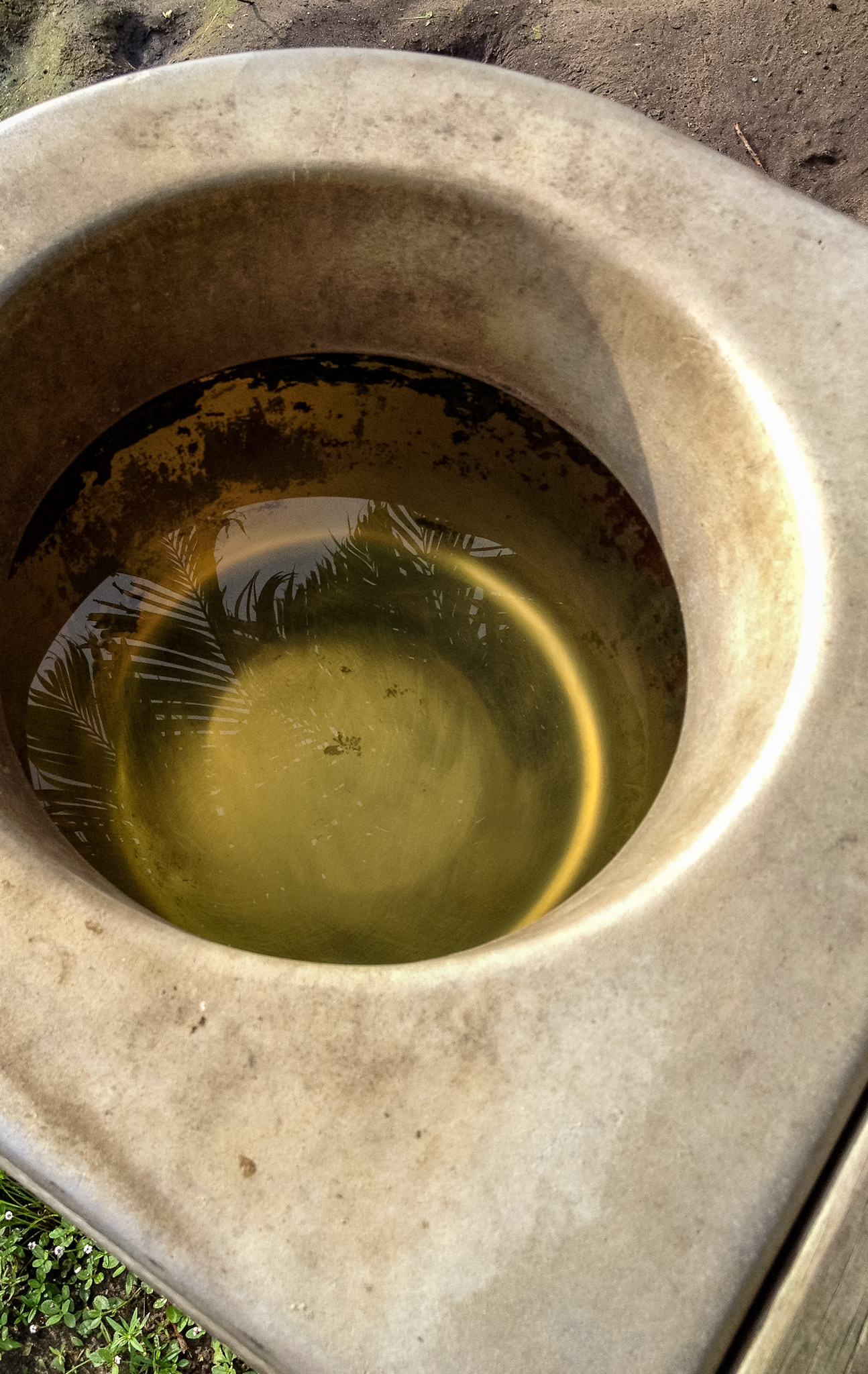 An automatic water dispenser with clean water in a clean bowl.  The mineral deposits on the bowl are permanent.