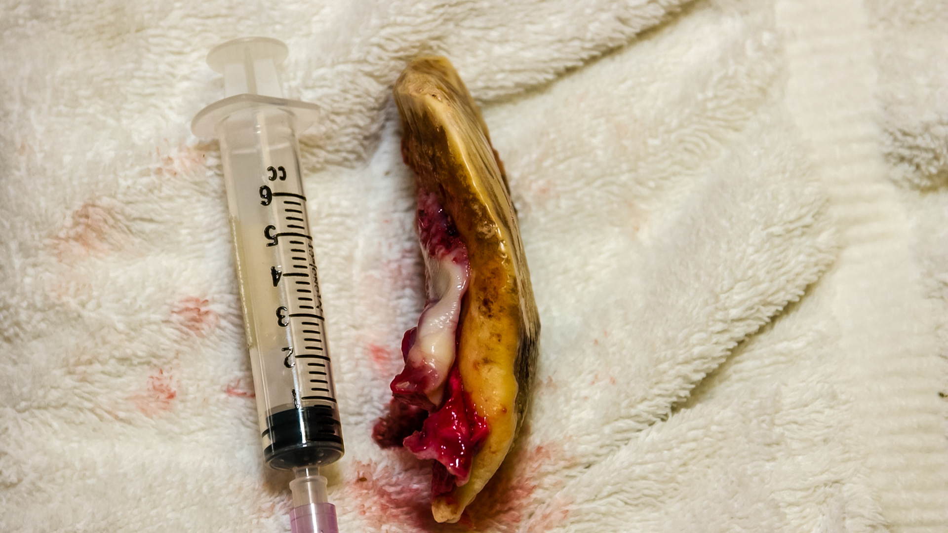 A warthog I have worked on.