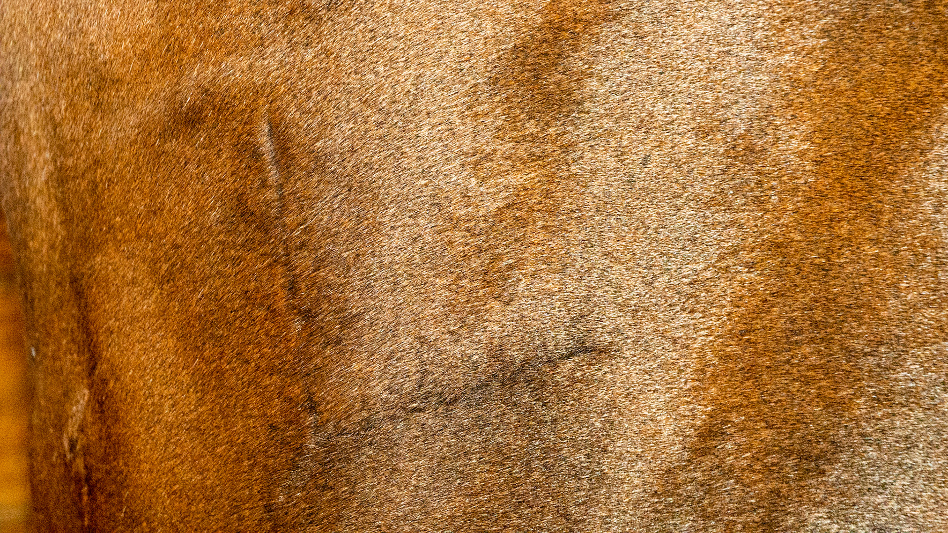 3 layer deep wound 1 year ago