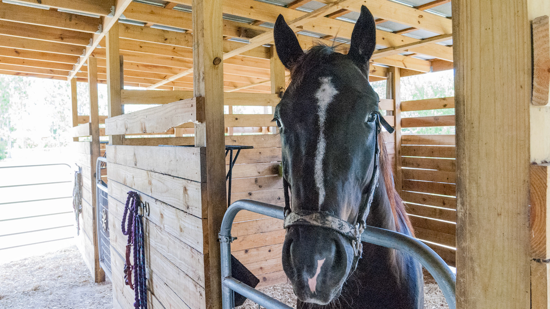 Barn Interiors