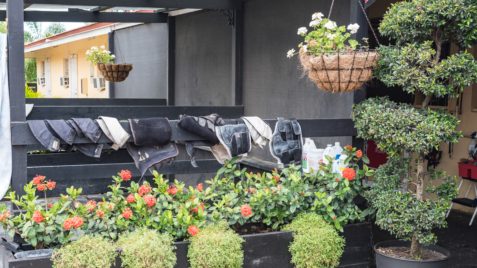 Groom and wash areas