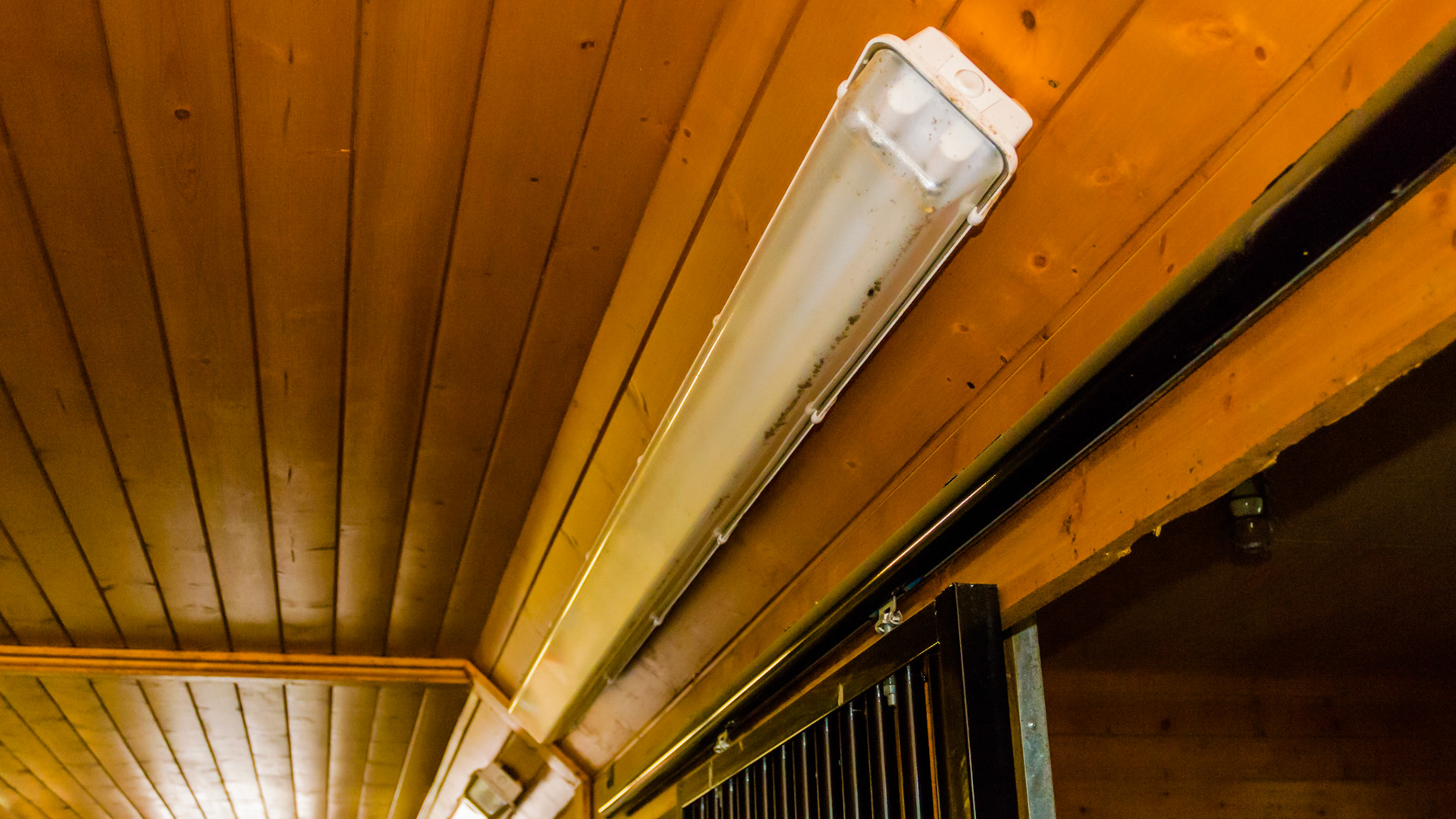 Fluorescent lights andled along the sides of the ceiling.