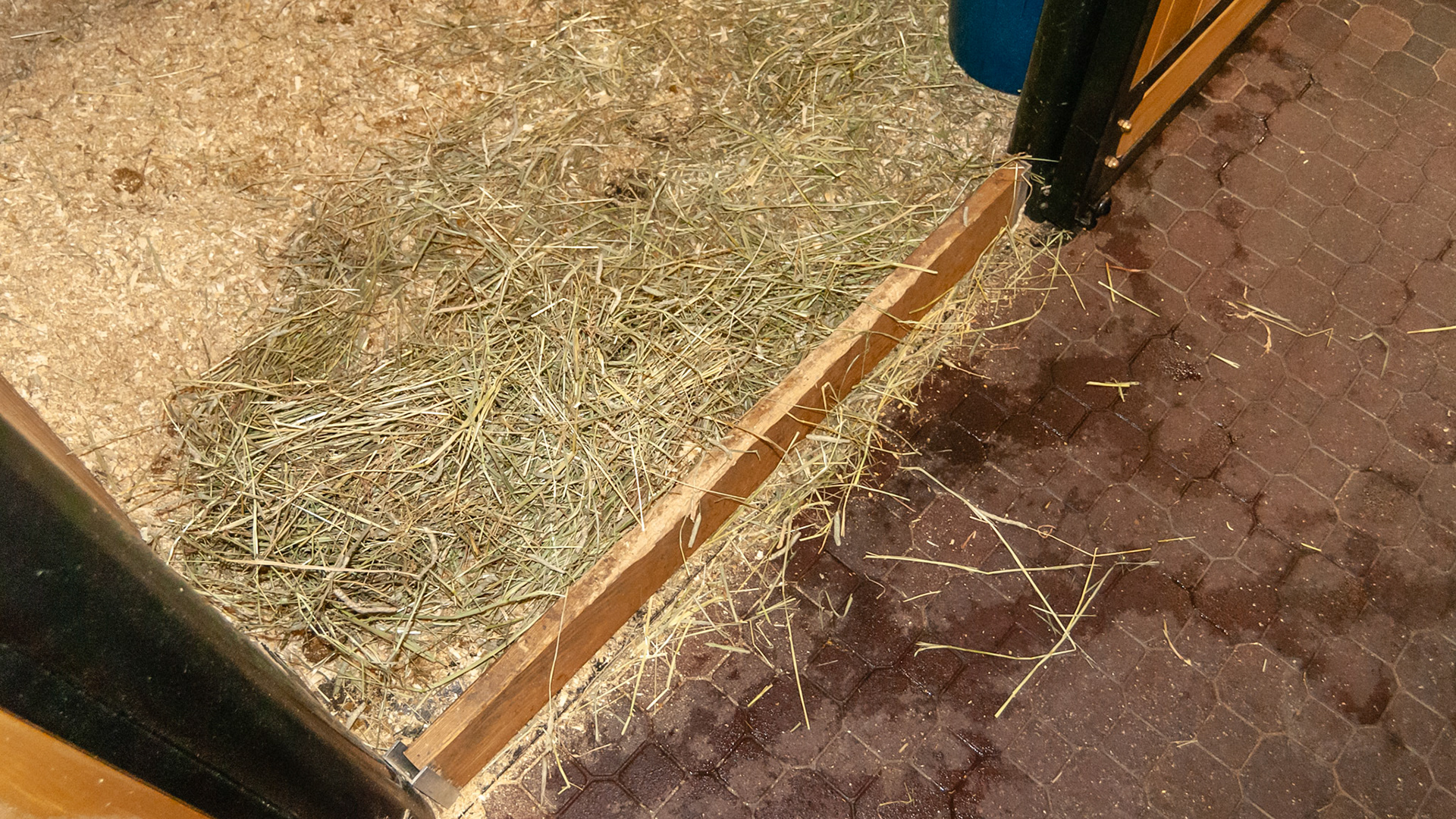 The problem of stall material escaping out under the stall door was alleviated by placing a board attached to the inside of the wall. This also prevents the legs of foals and horses from extending out under the stall during sleep with disasterous consequences.