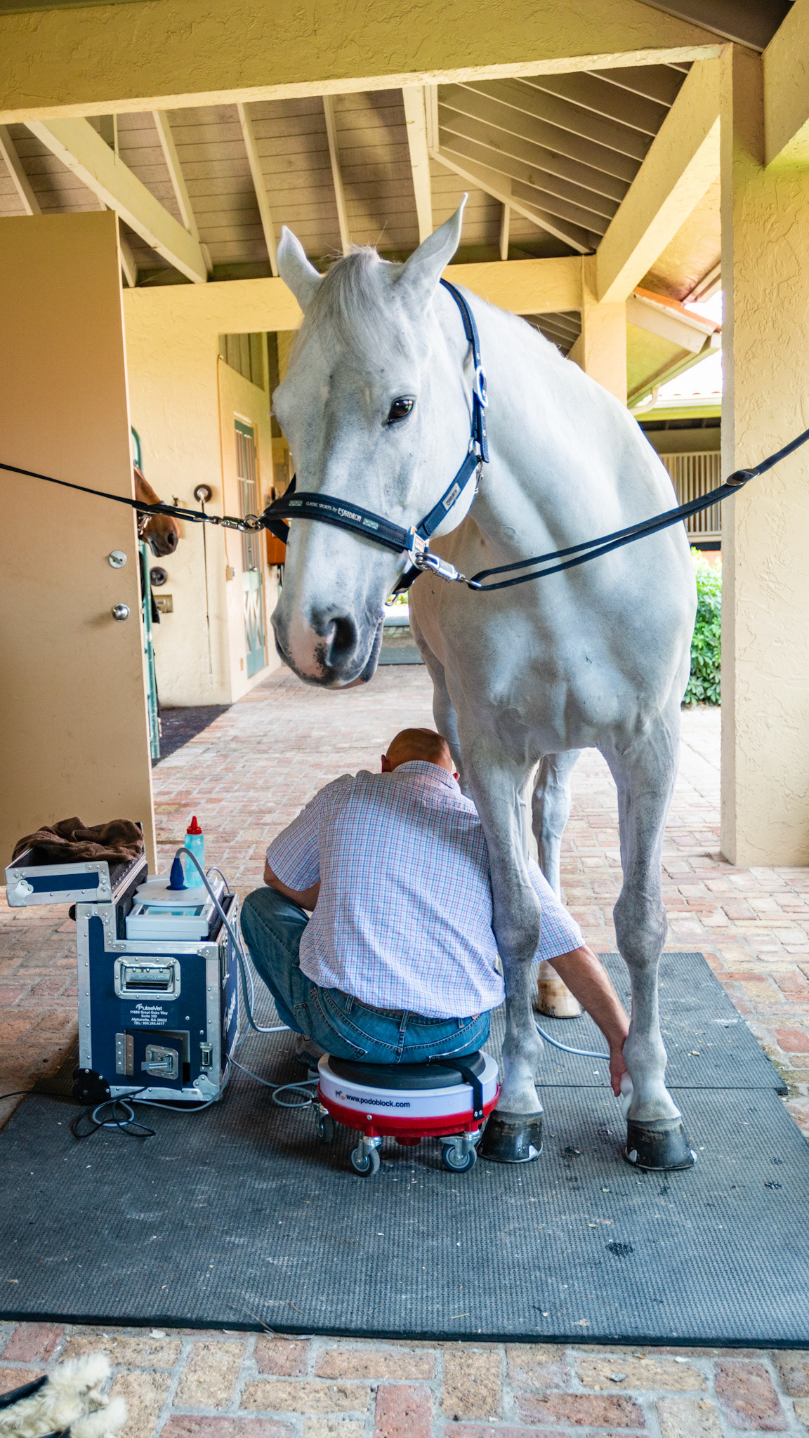 This vet is disconnected from the horse and is relying on him not to suddenly spook. This is a disregard of Law 1, 2, and 3.  He will one day become hurt.