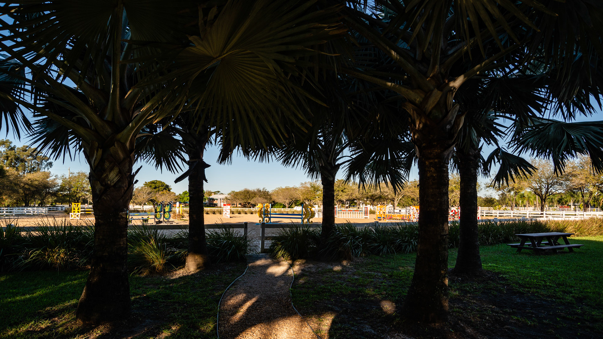 South Florida arena and hand made jumps.