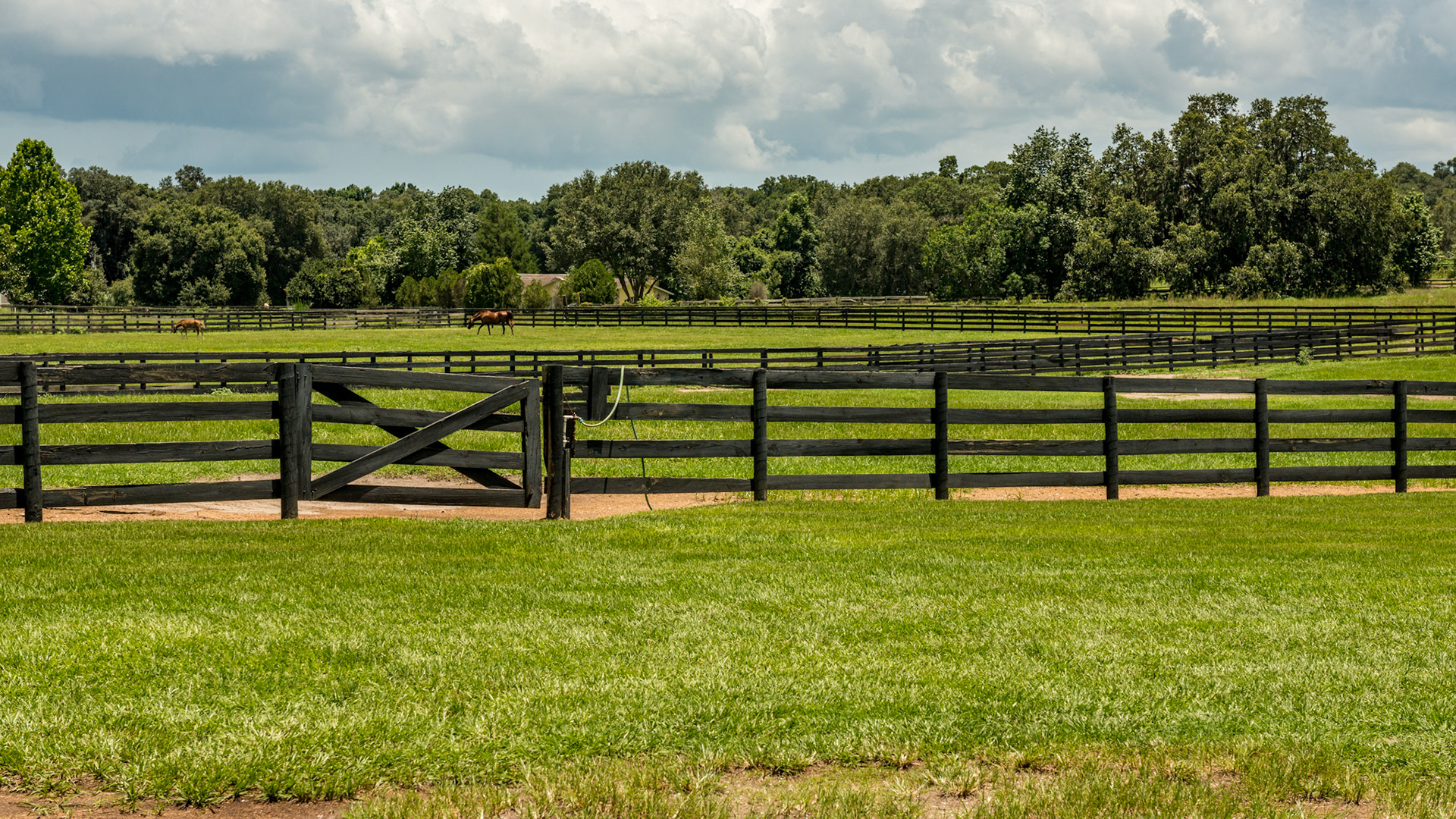 4 board fencing coated in black preservative paint.