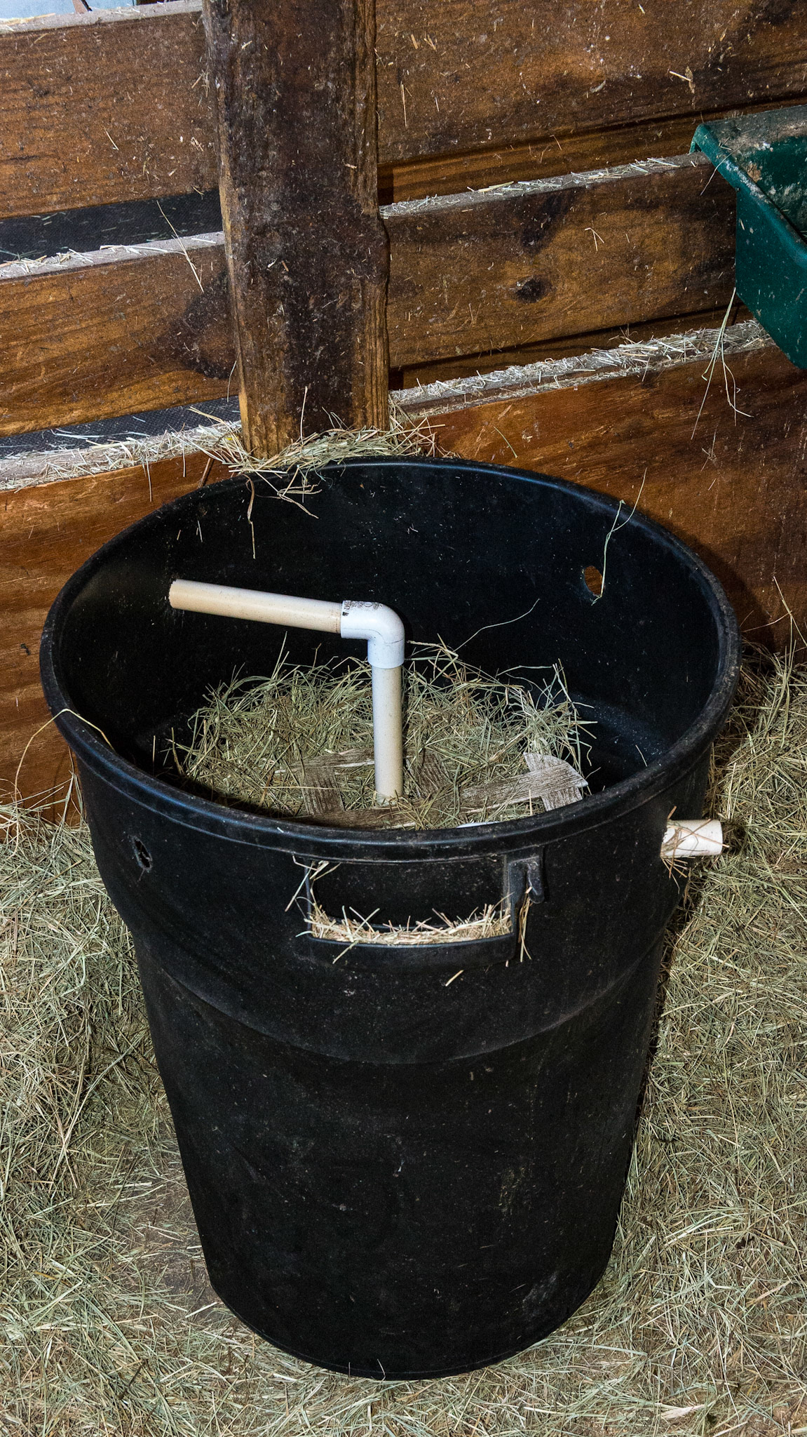 Self made slow hay feeder using a garbage pail, pipe and lattice