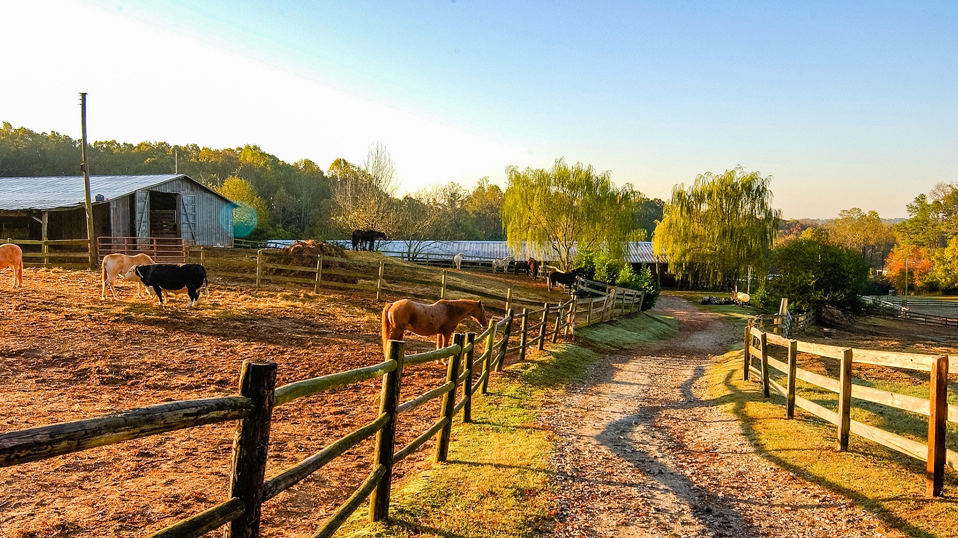 Georgia red dirt mud paddock.
