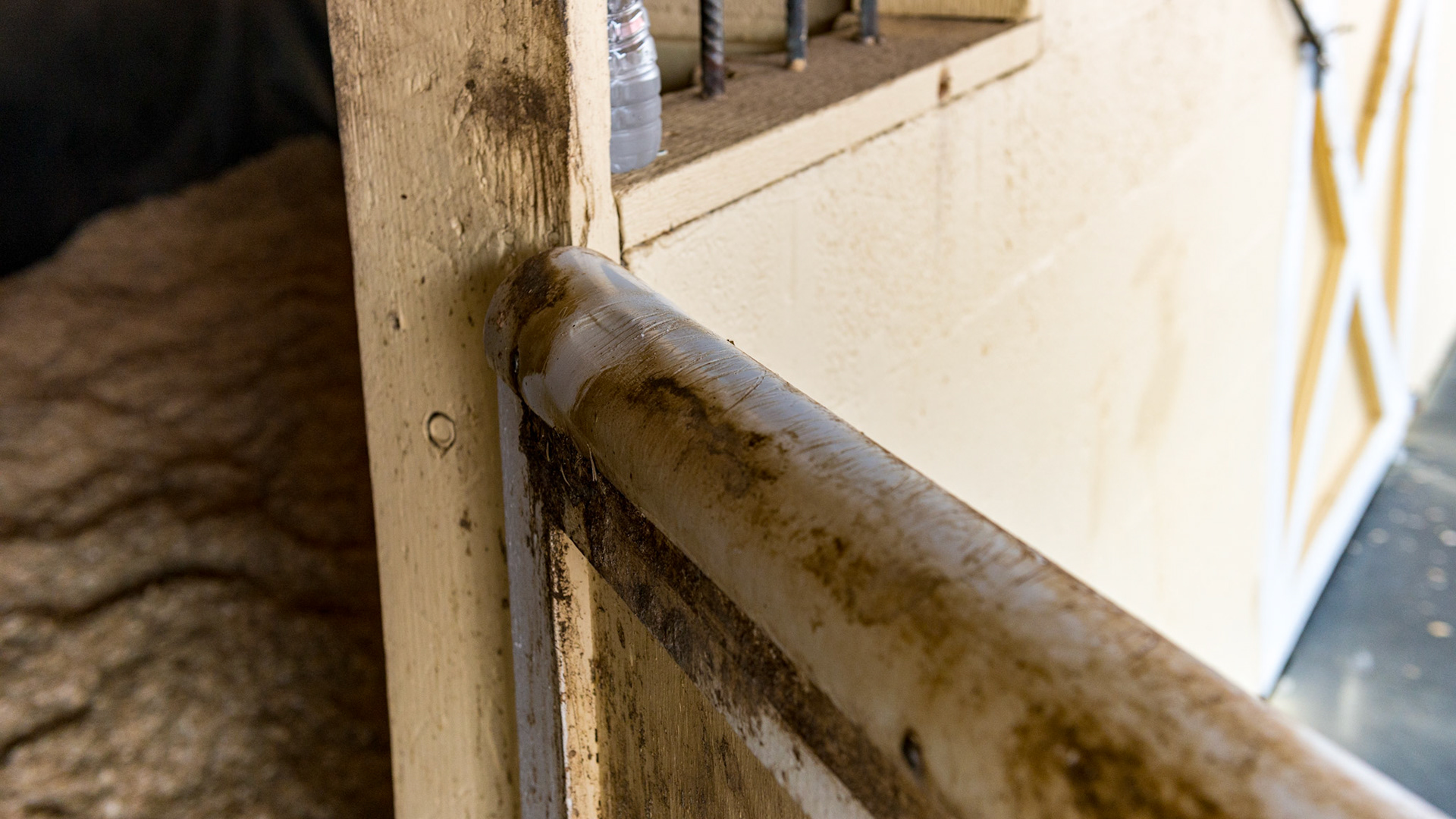 Horse A - He chews the top of the stall door.  This PVC pipe helps to stop him however you can see the chew marks on the plastic. It's doing its job.