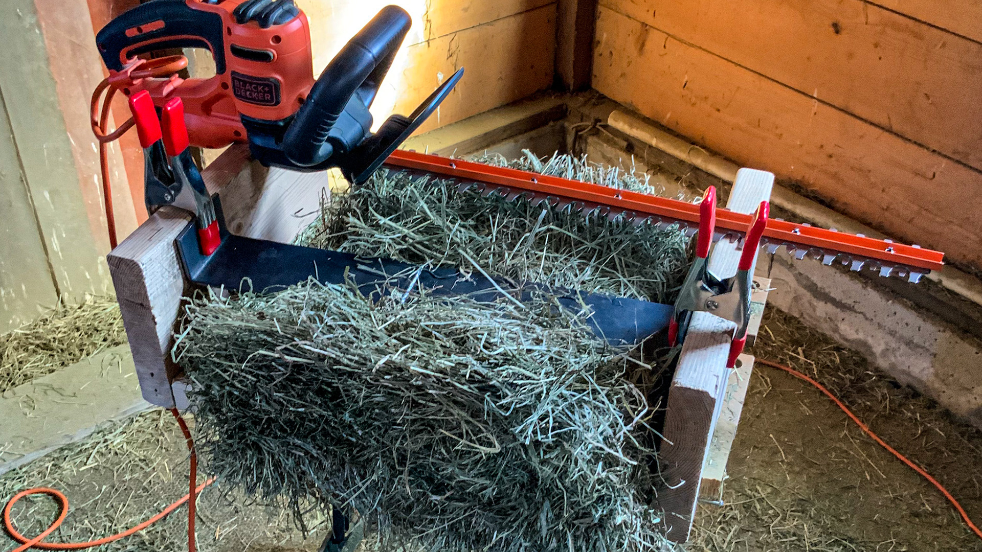 Hedge clippers used to chop hay. The saw stand is converted into a clamping station for flakes of hay.