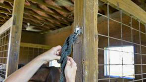 Tie a horse to a ring so the horse can easily and completly be released.