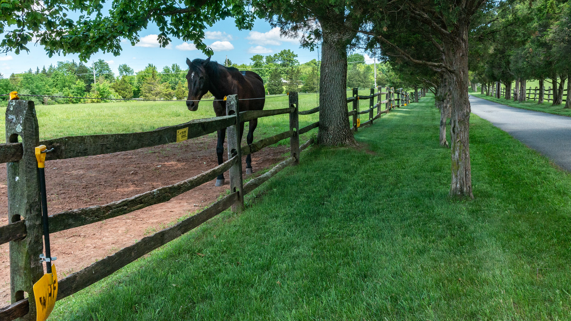 Parasite control is taken seriously on this farm with snow shovels mounted on every 4th post around the paddock for manure removal.  Note how the paddock is free of manure piles.