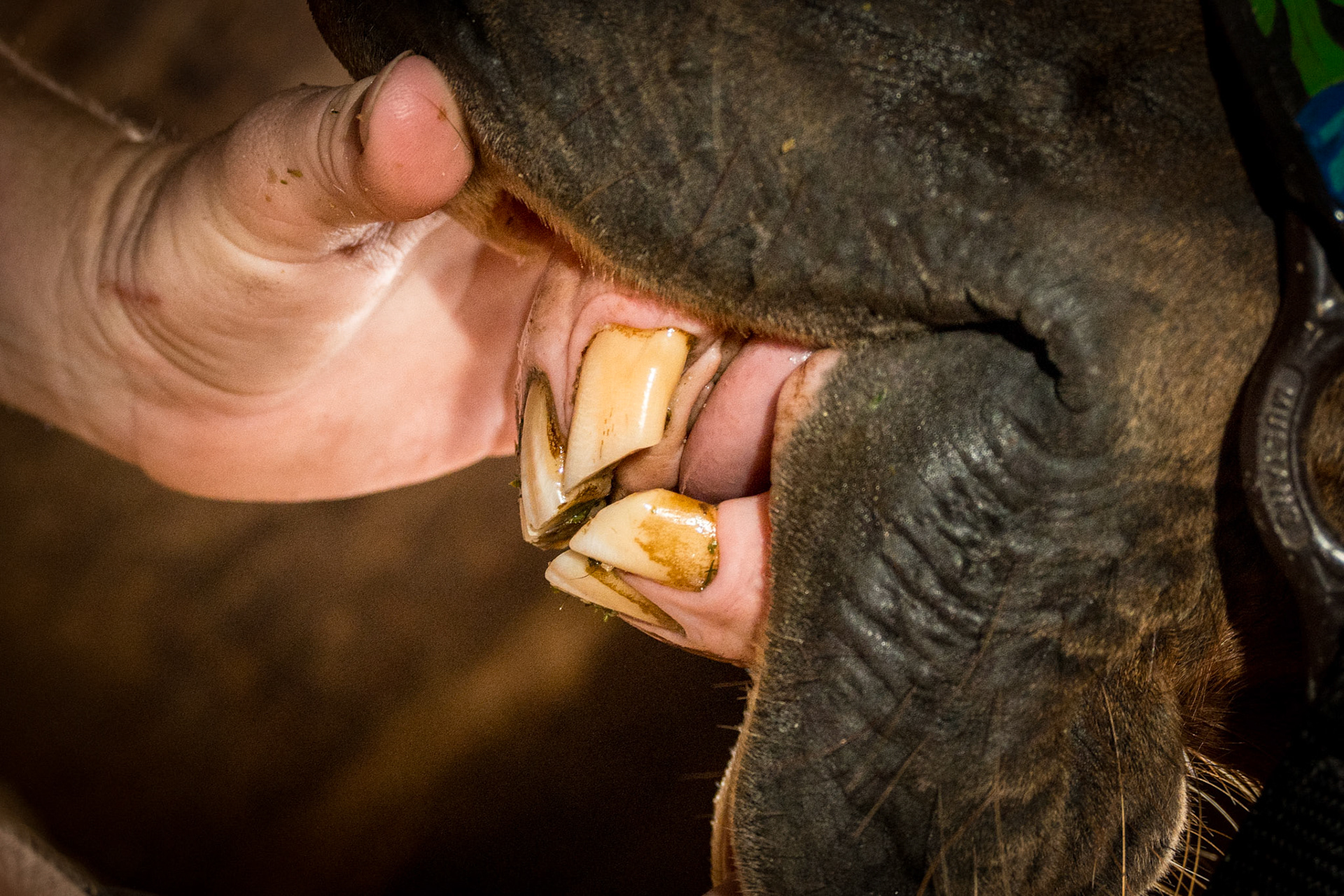24yr old, Relaxed space