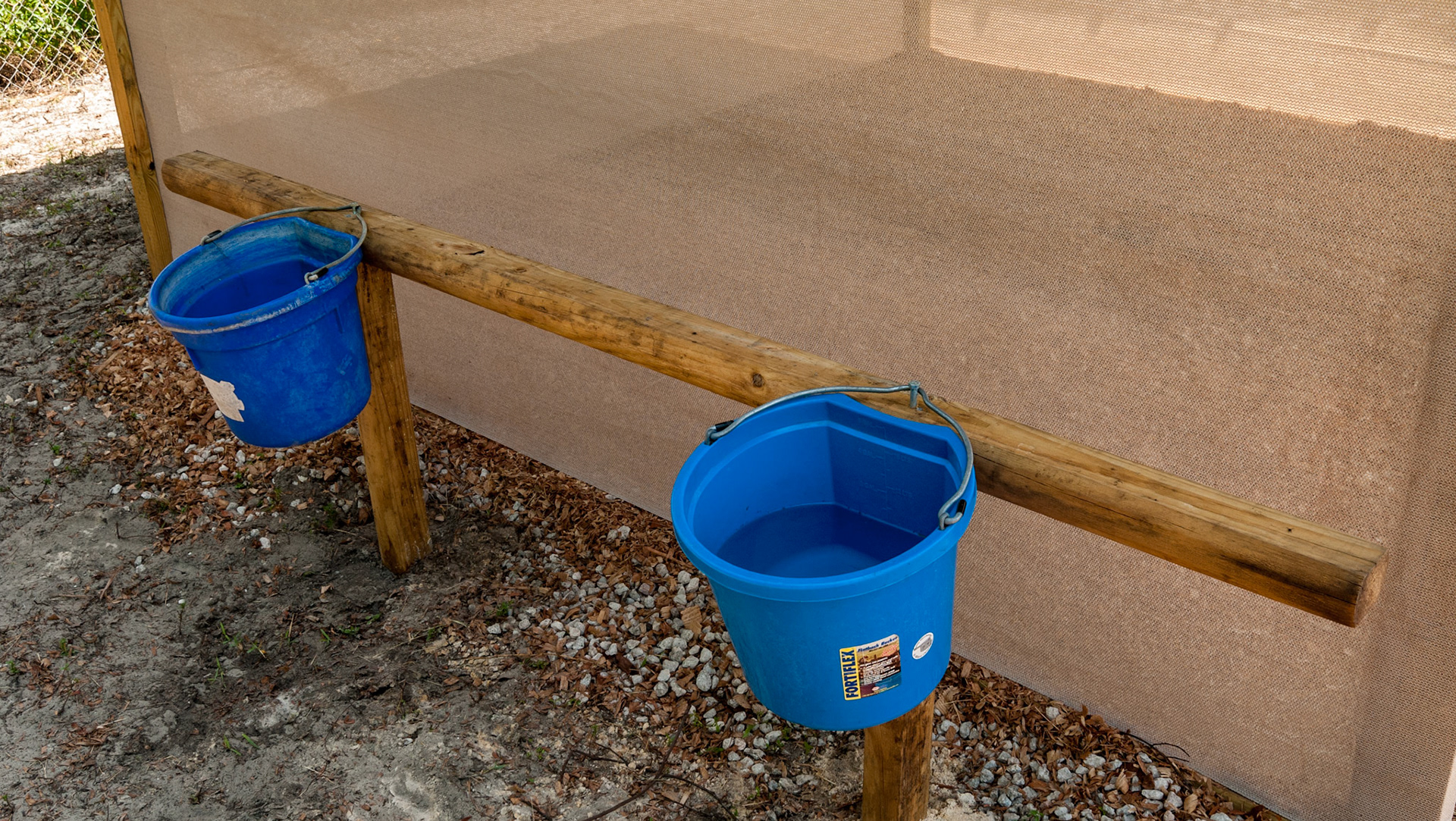 This set up for mini horses keeps the handles away from the face. The plastic protectors on the wire tips are in place.