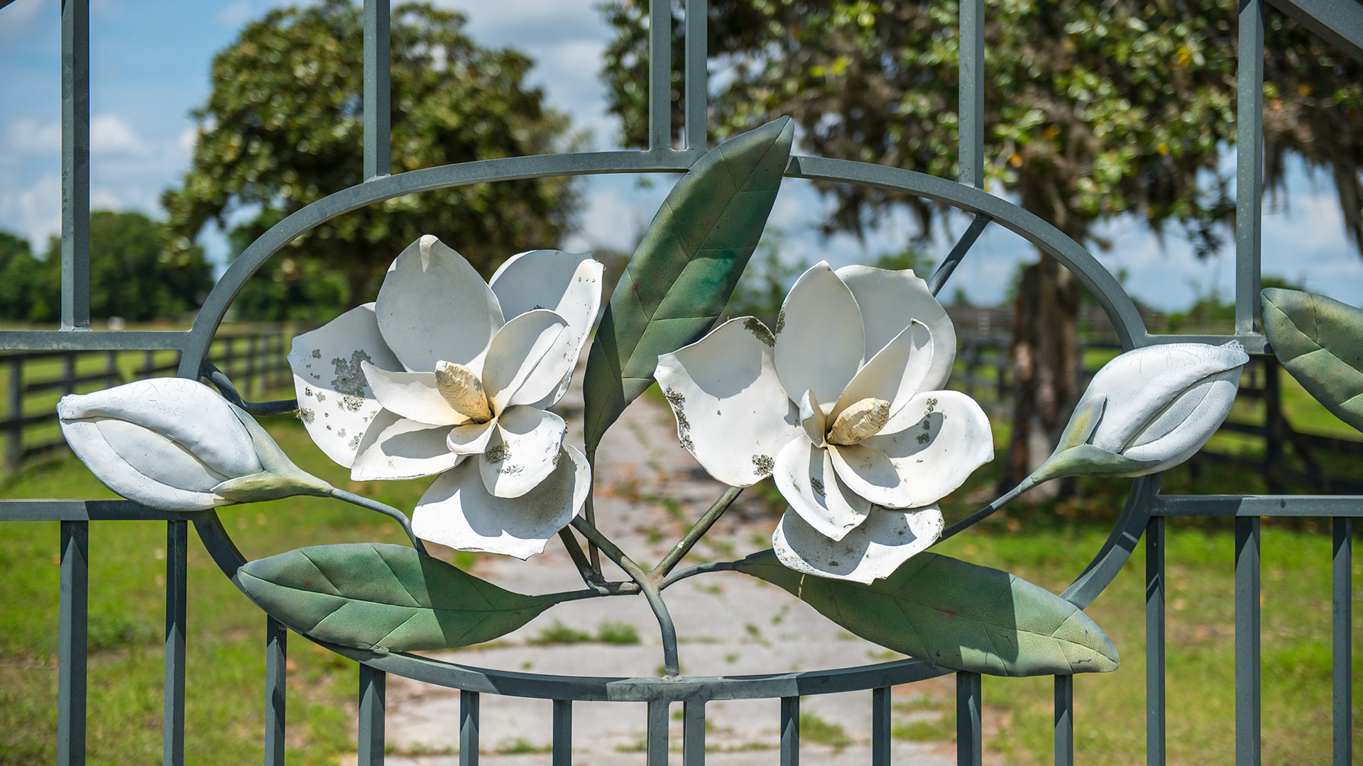 Beautiful driveway gates leading to a farm in Ocala, FL