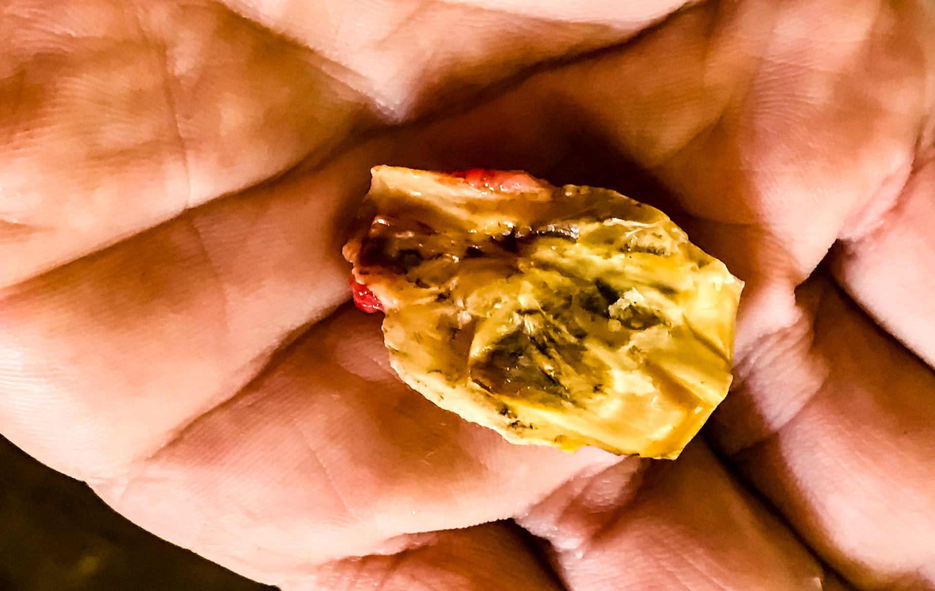 More cheek tooth fracture pieces.